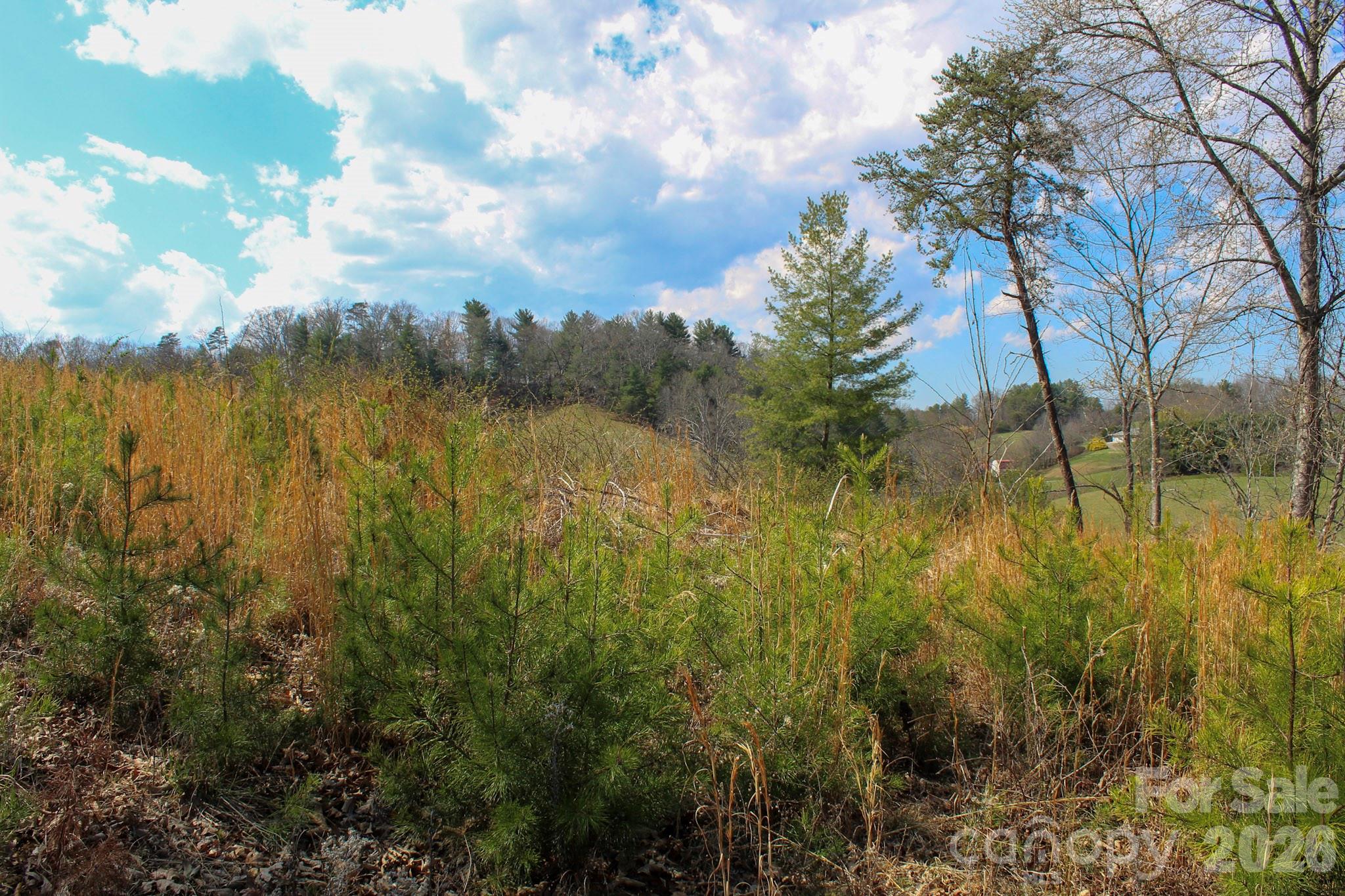 99999 Fletcher Martin Road Alexander NC 28701