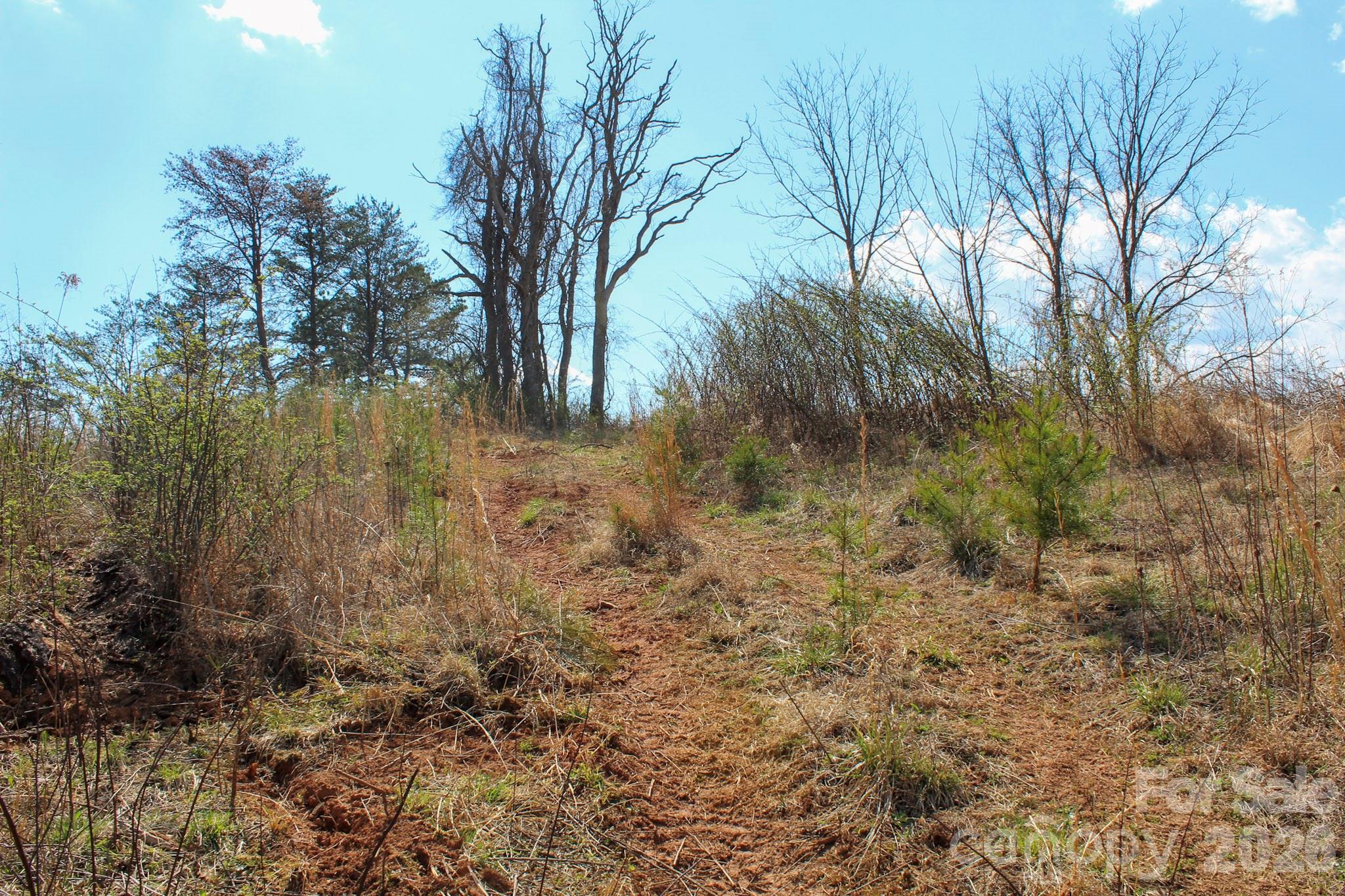 99999 Fletcher Martin Road Alexander NC 28701