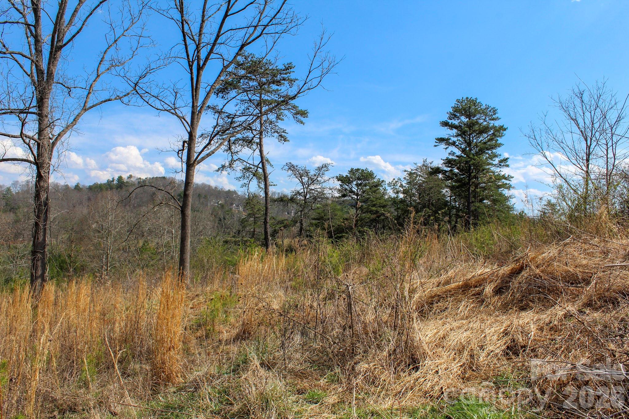 99999 Fletcher Martin Road Alexander NC 28701