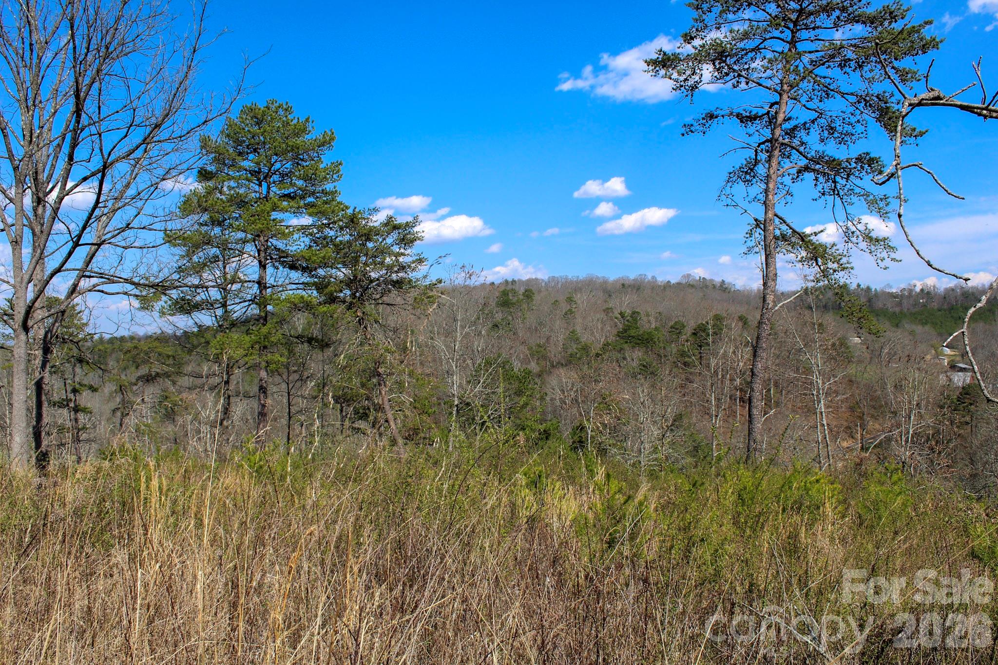 99999 Fletcher Martin Road Alexander NC 28701