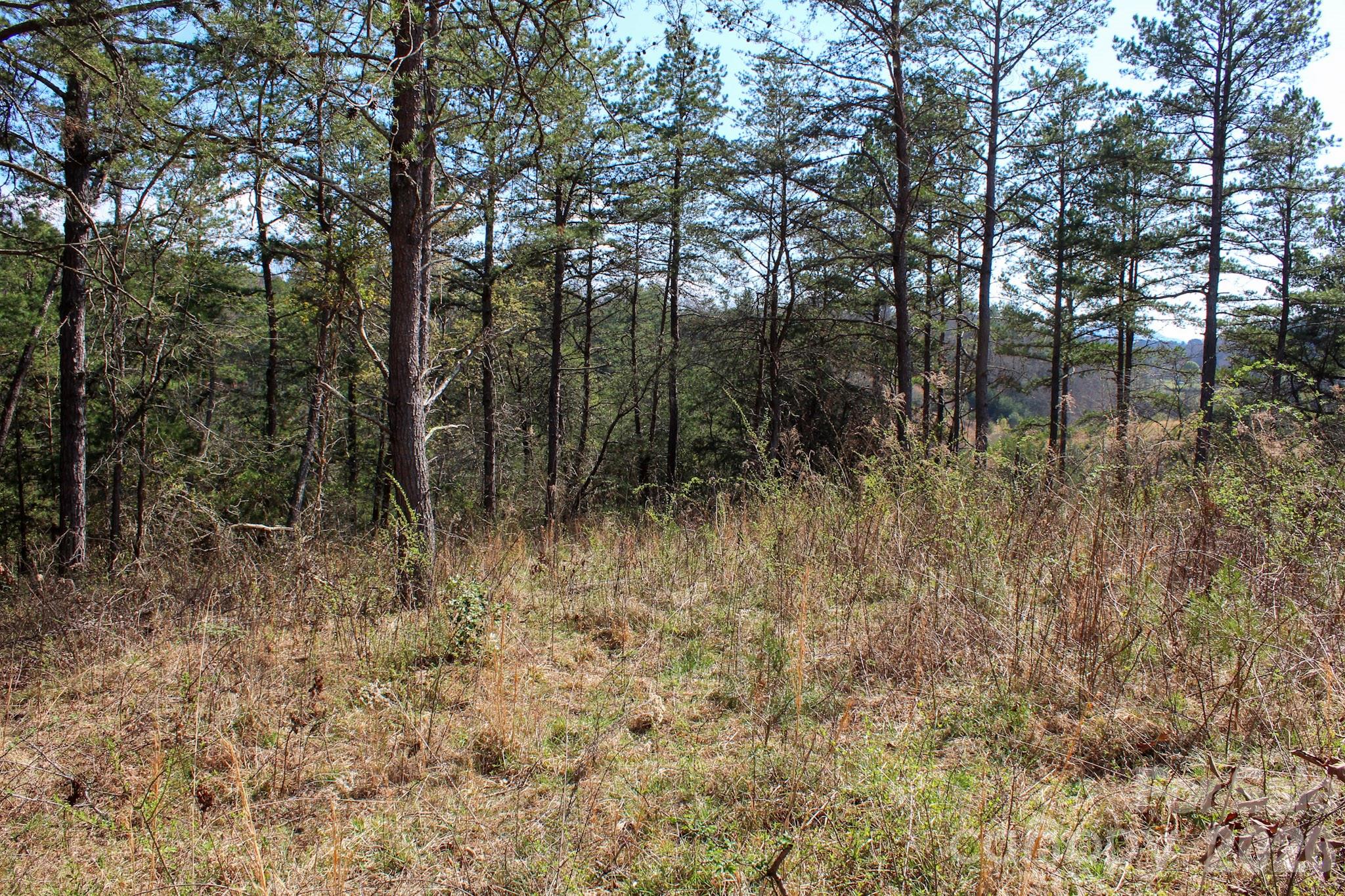 99999 Fletcher Martin Road Alexander NC 28701
