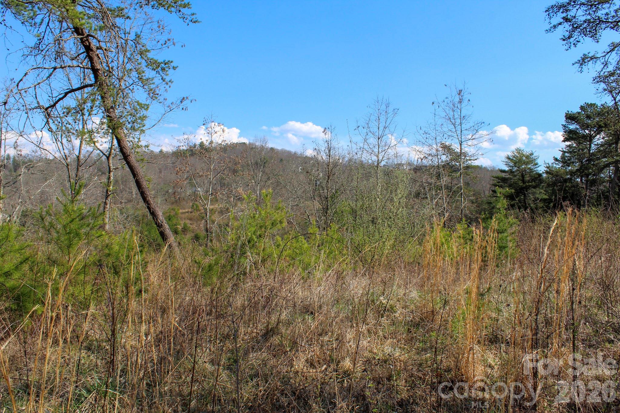 99999 Fletcher Martin Road Alexander NC 28701