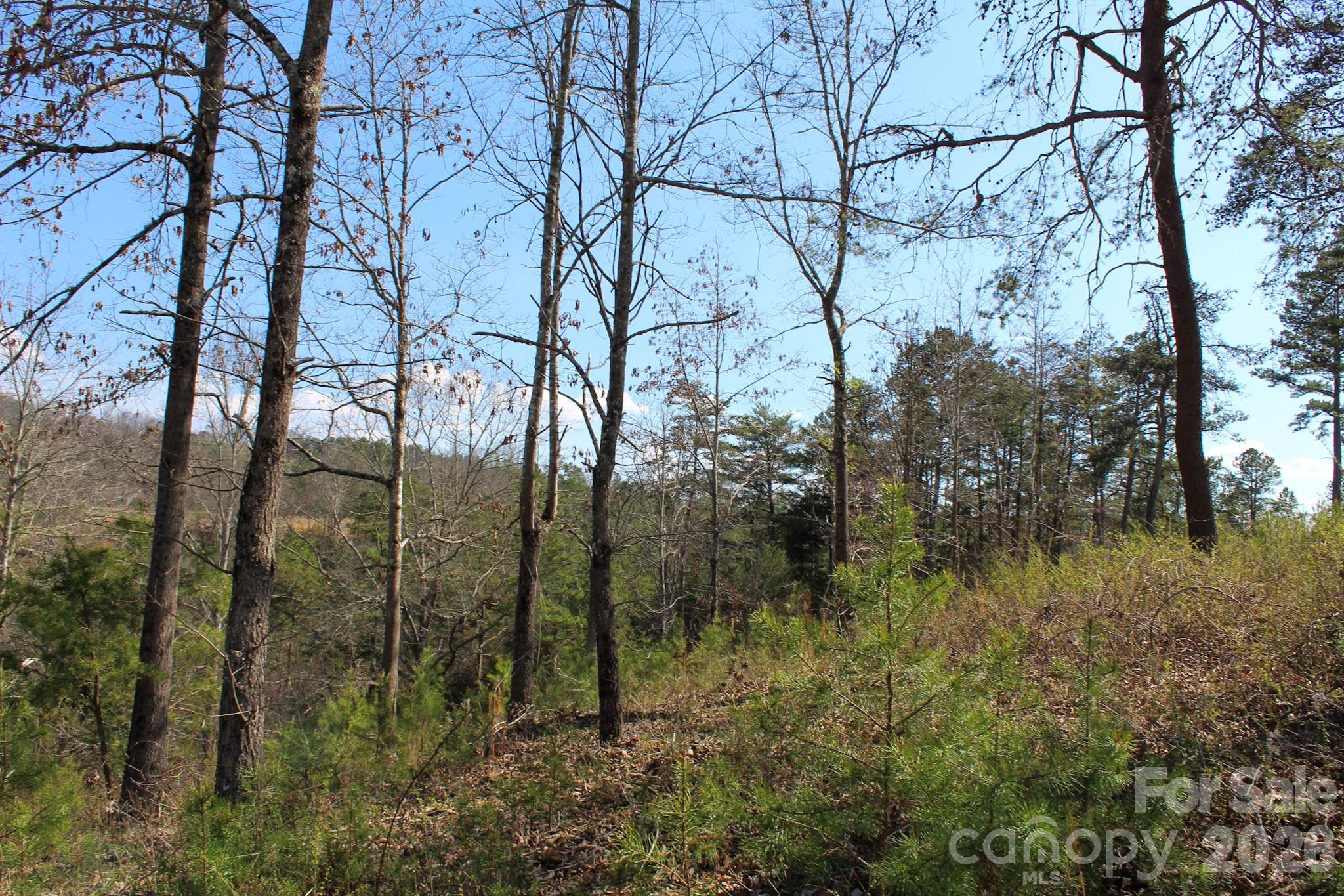 99999 Fletcher Martin Road Alexander NC 28701