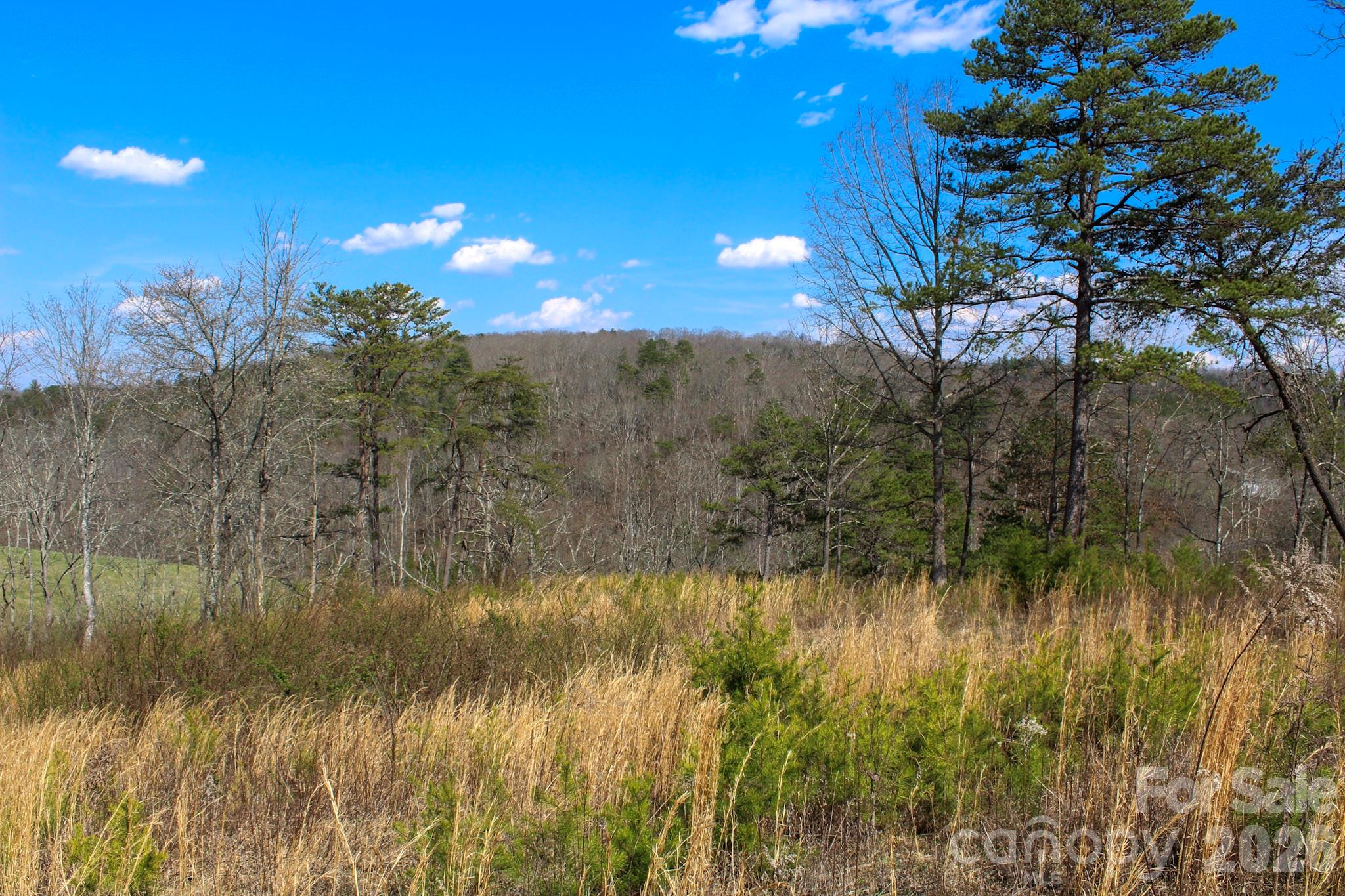 99999 Fletcher Martin Road Alexander NC 28701