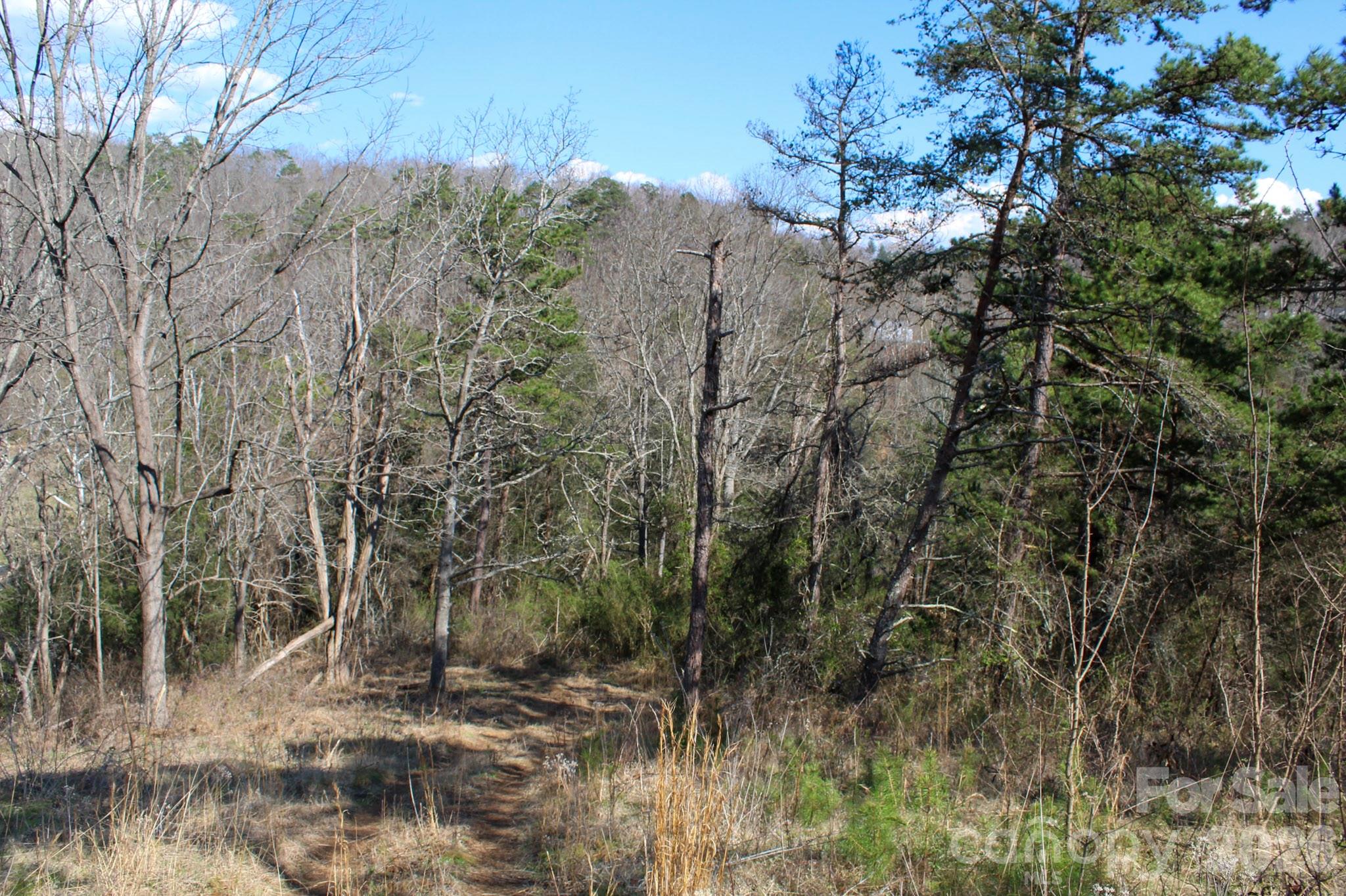 99999 Fletcher Martin Road Alexander NC 28701