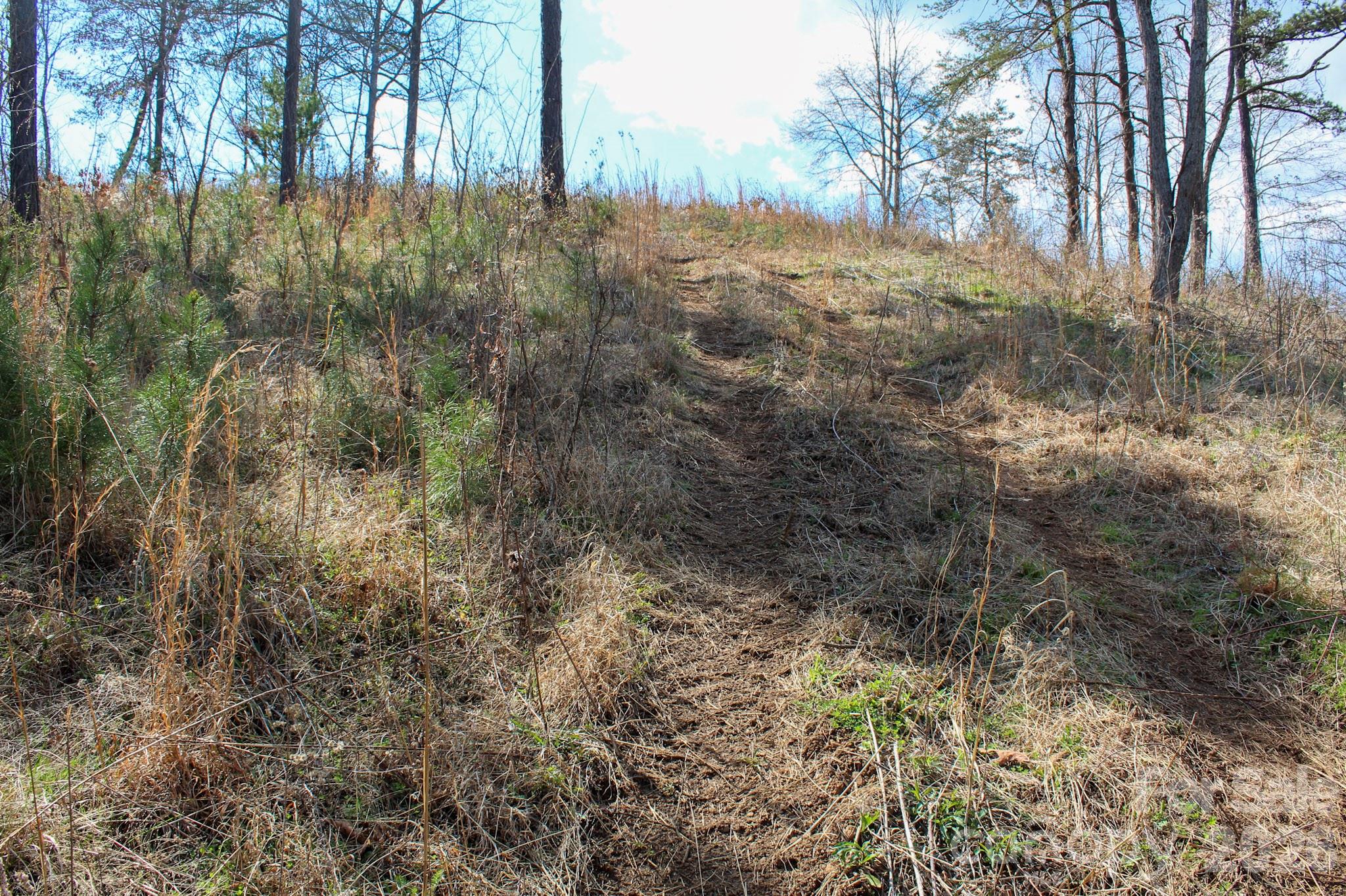99999 Fletcher Martin Road Alexander NC 28701