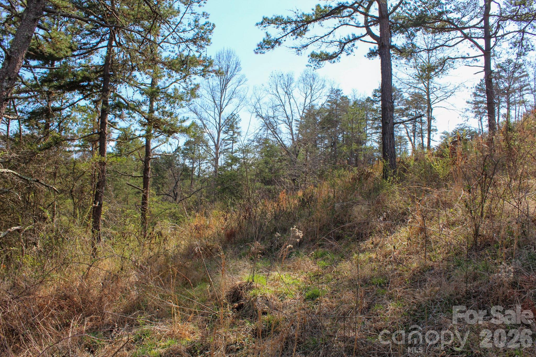 99999 Fletcher Martin Road Alexander NC 28701