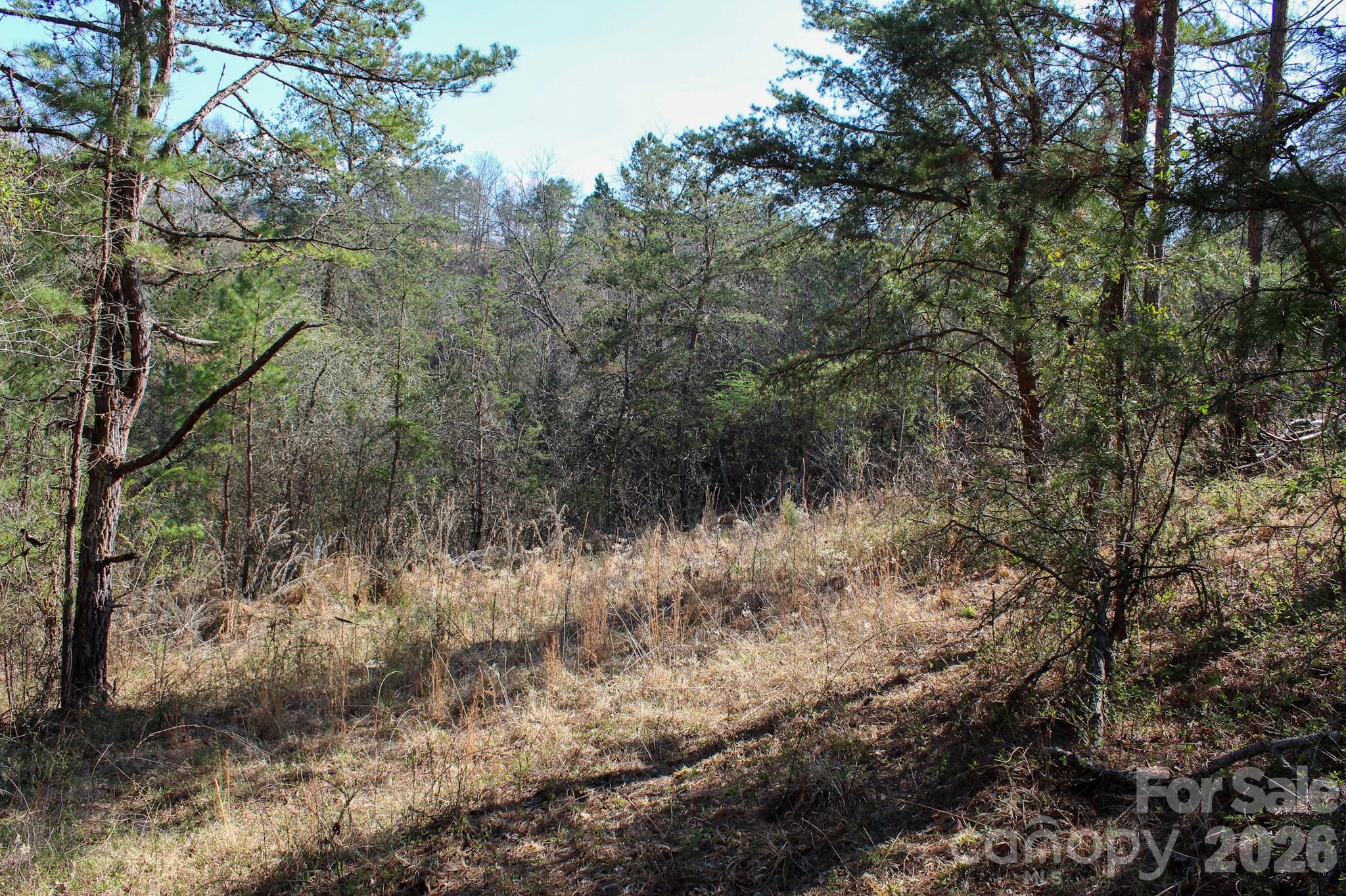 99999 Fletcher Martin Road Alexander NC 28701