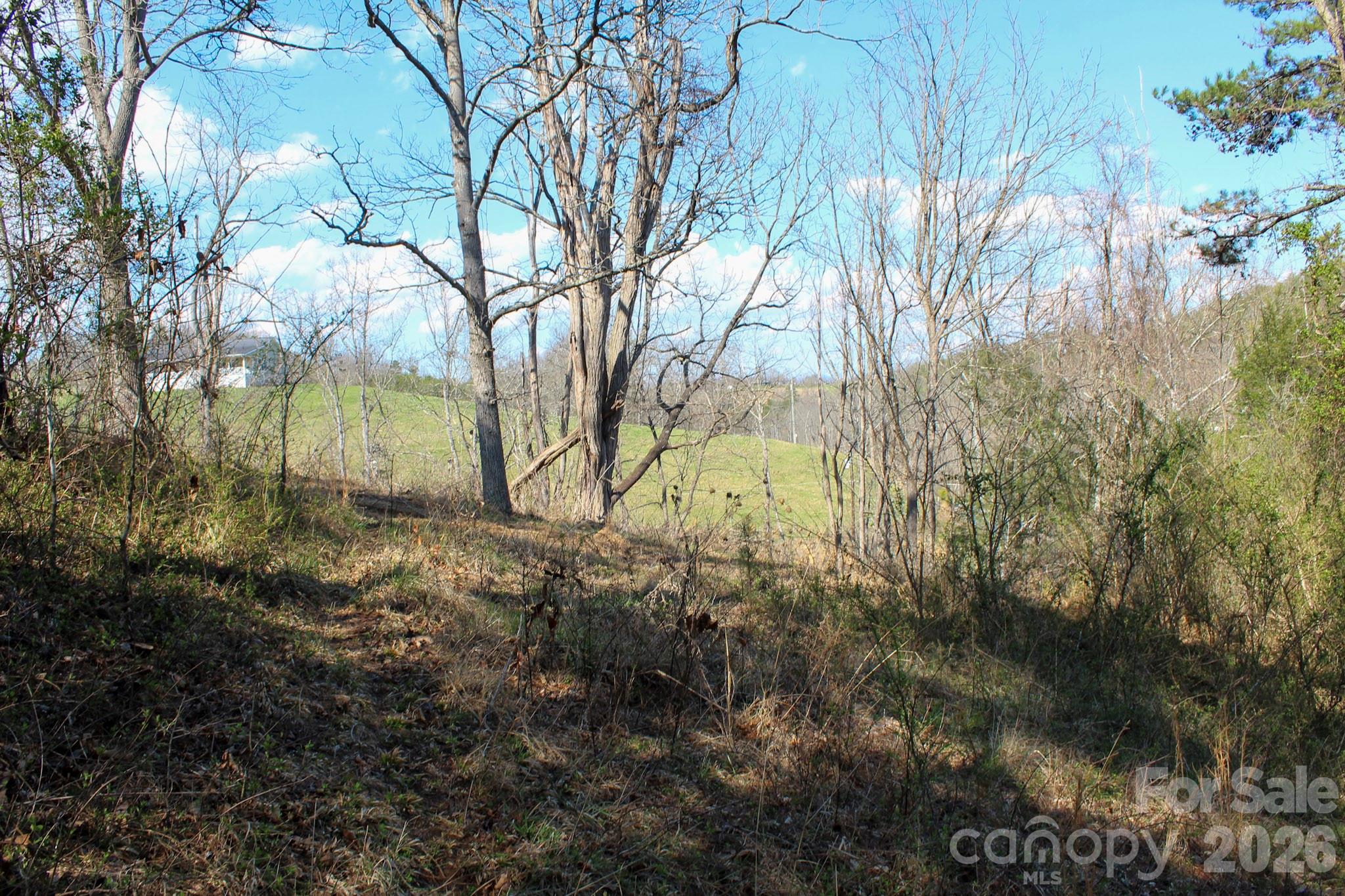 99999 Fletcher Martin Road Alexander NC 28701