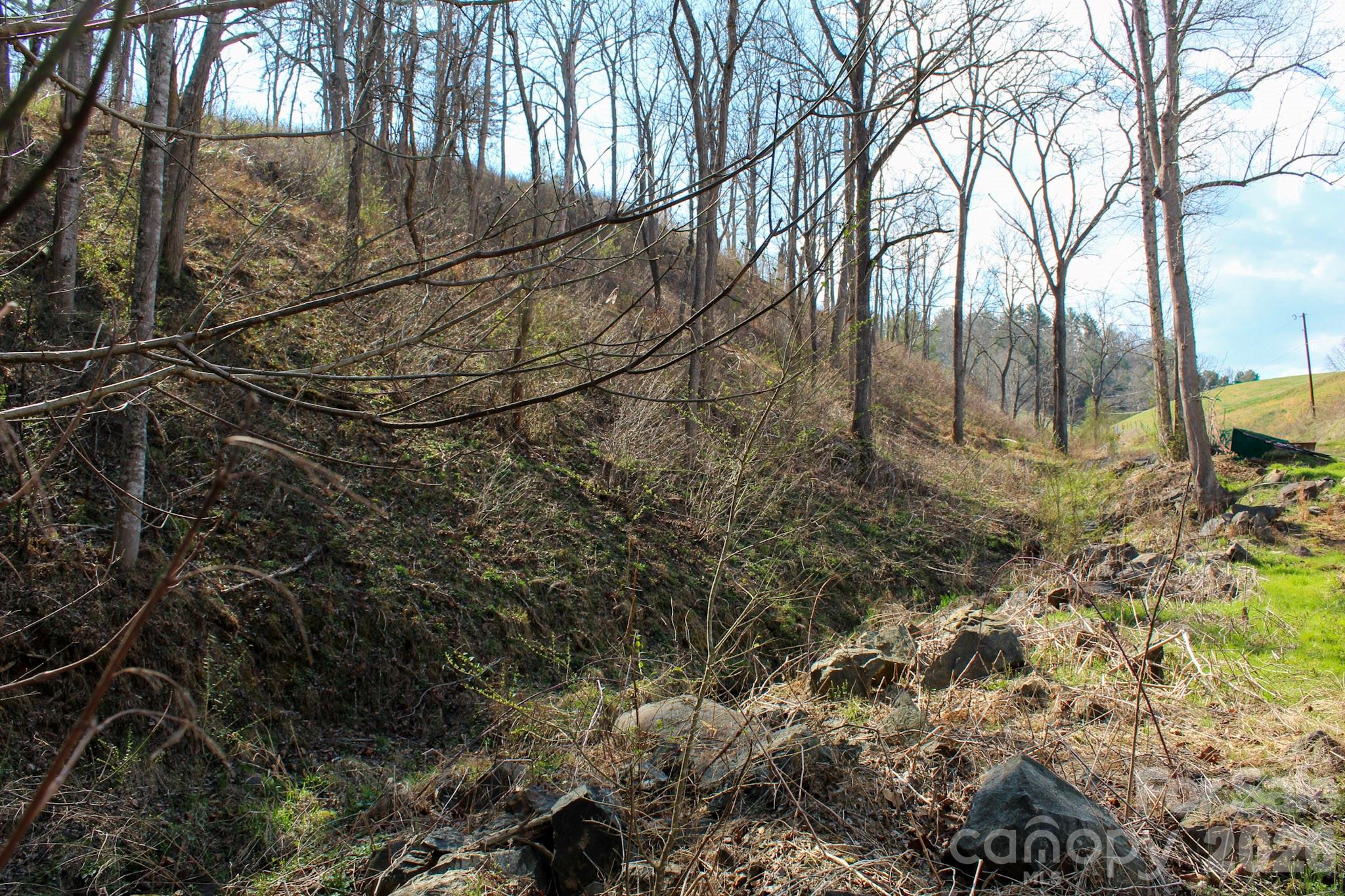 99999 Fletcher Martin Road Alexander NC 28701