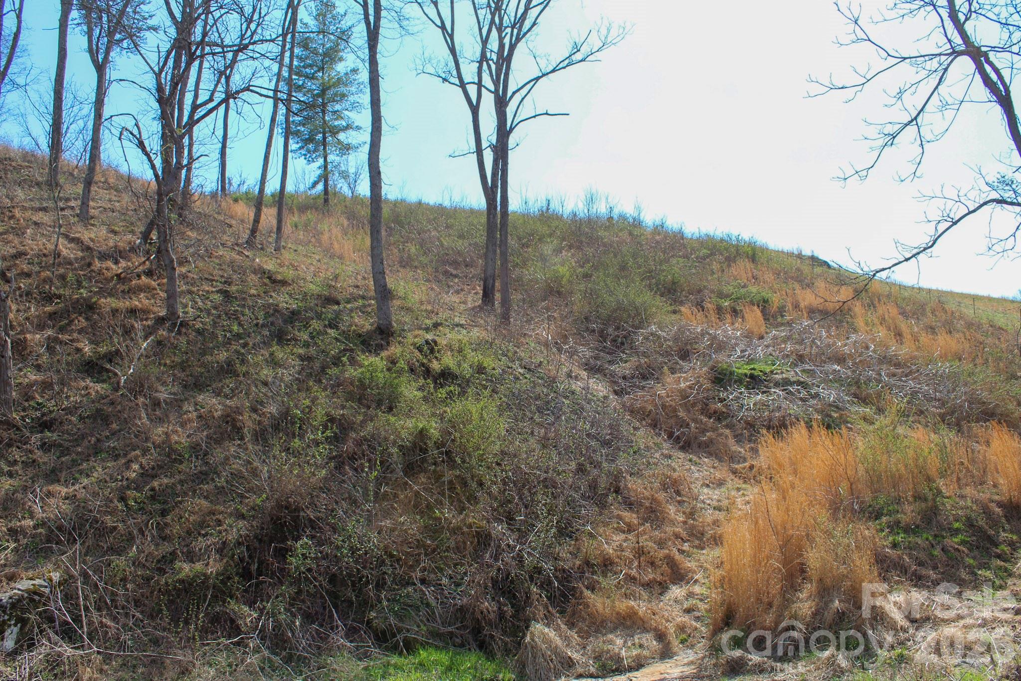 99999 Fletcher Martin Road Alexander NC 28701