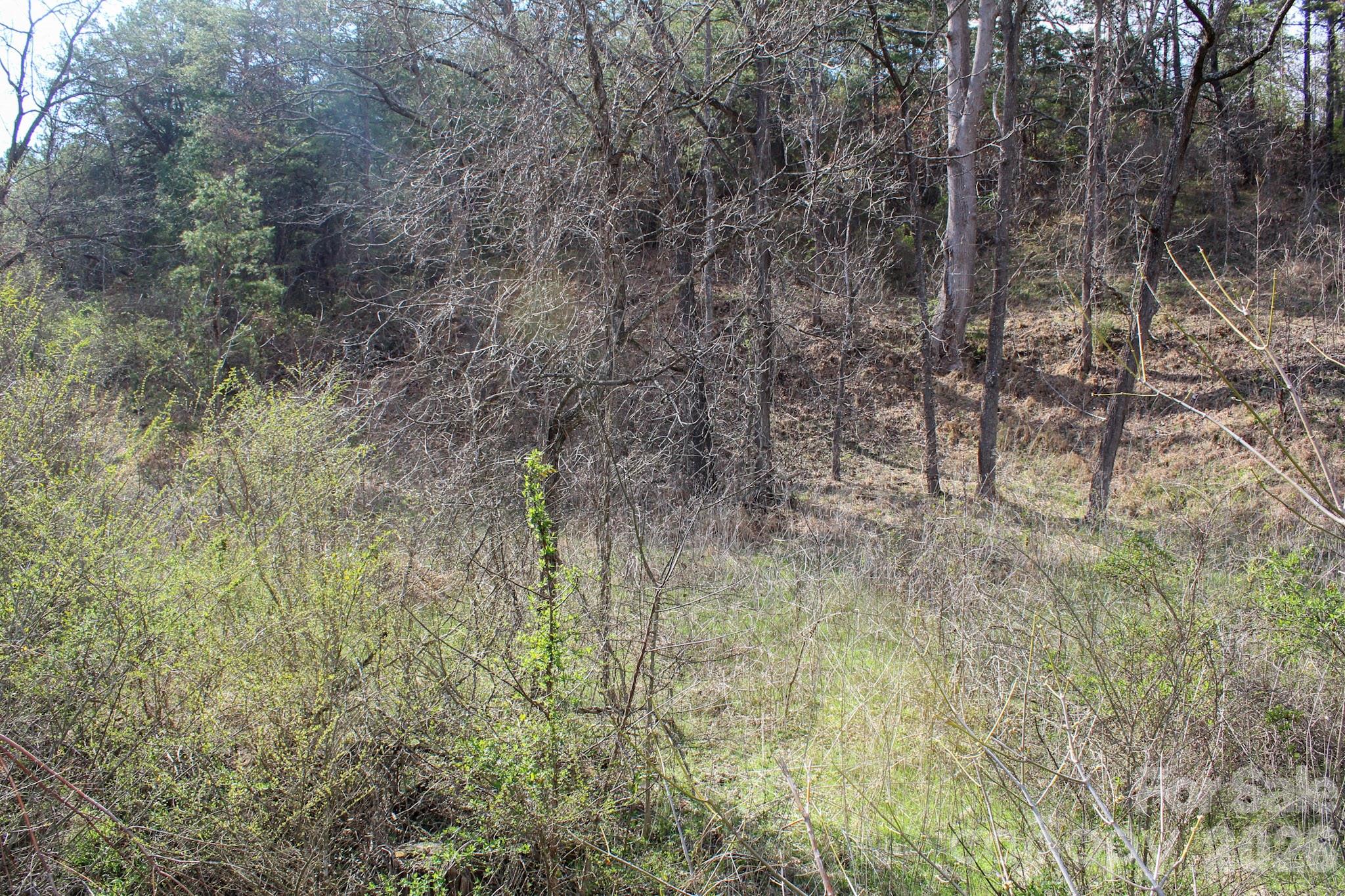 99999 Fletcher Martin Road Alexander NC 28701