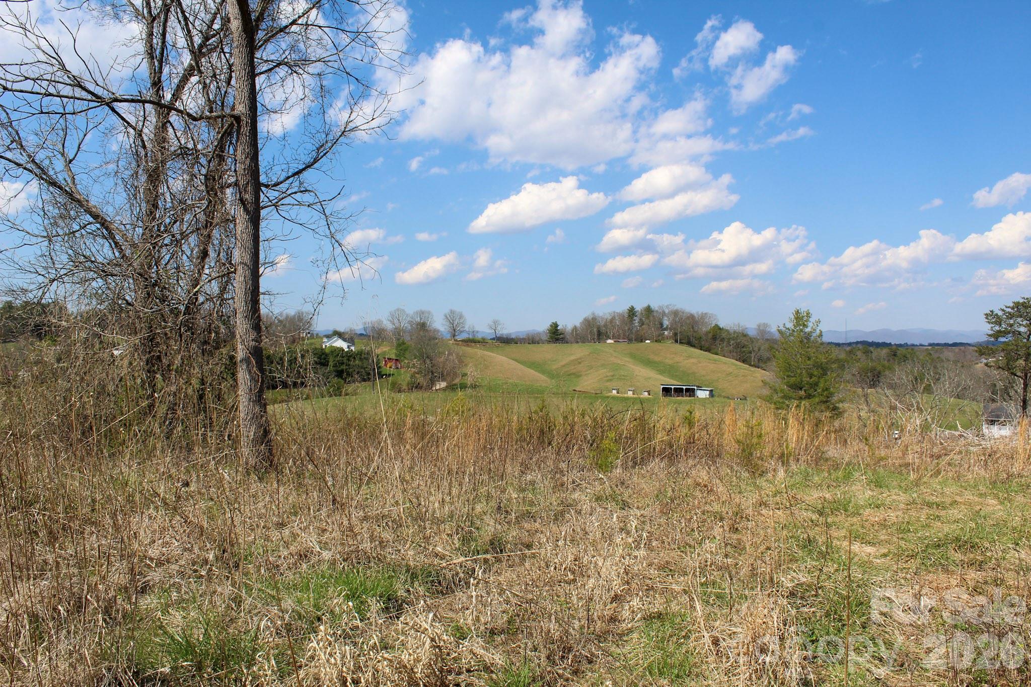 99999 Fletcher Martin Road Alexander NC 28701