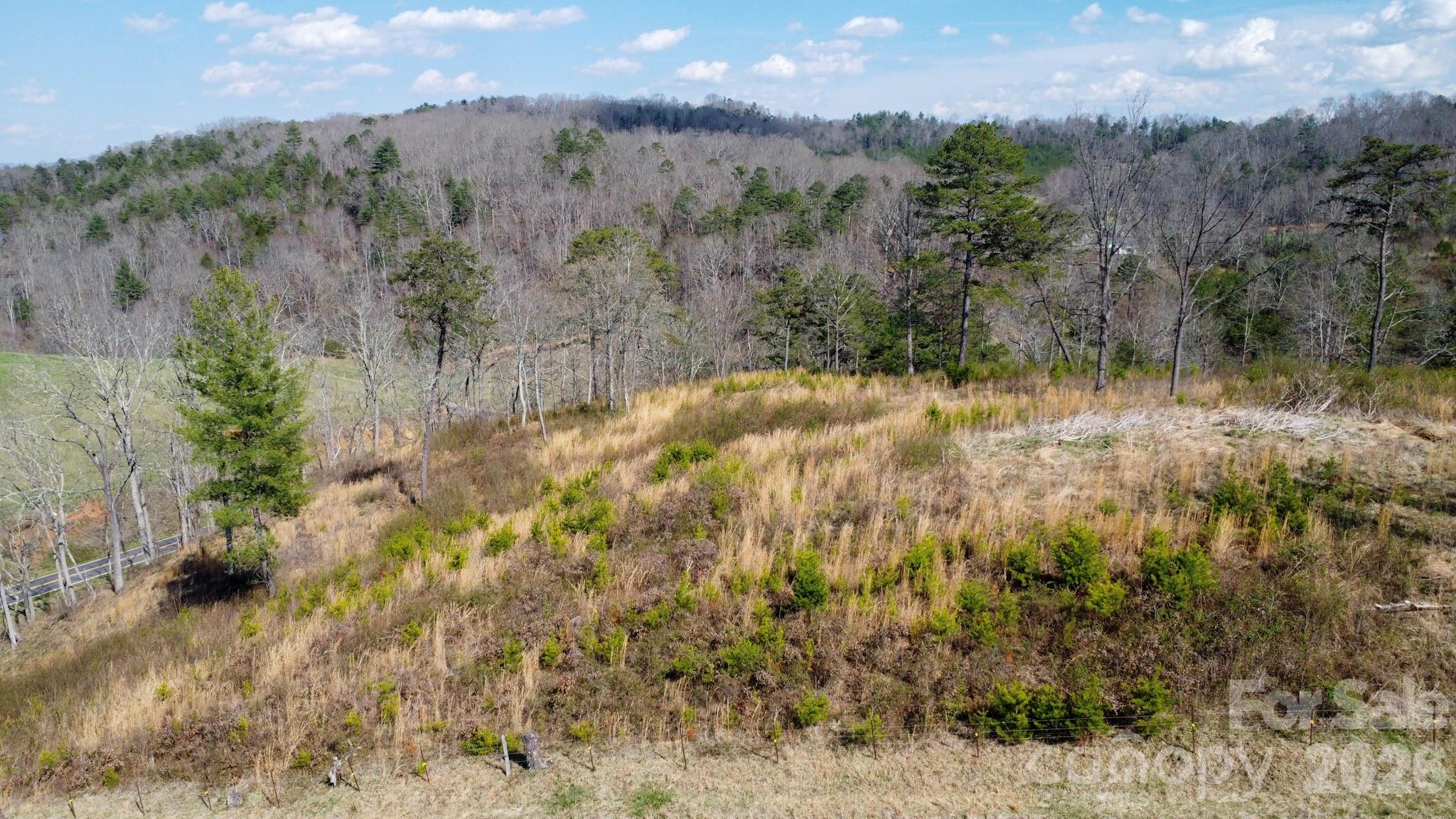 99999 Fletcher Martin Road Alexander NC 28701