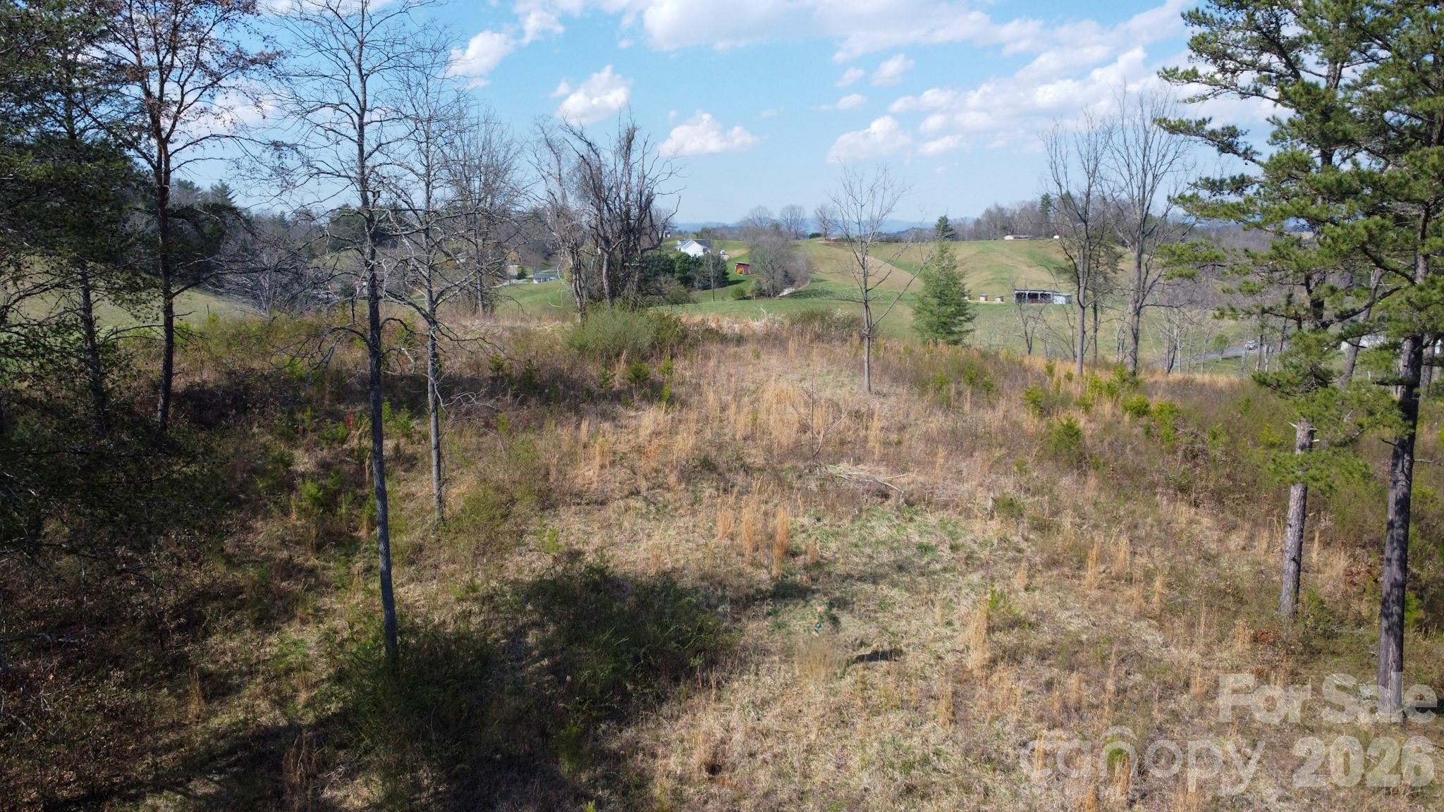 99999 Fletcher Martin Road Alexander NC 28701
