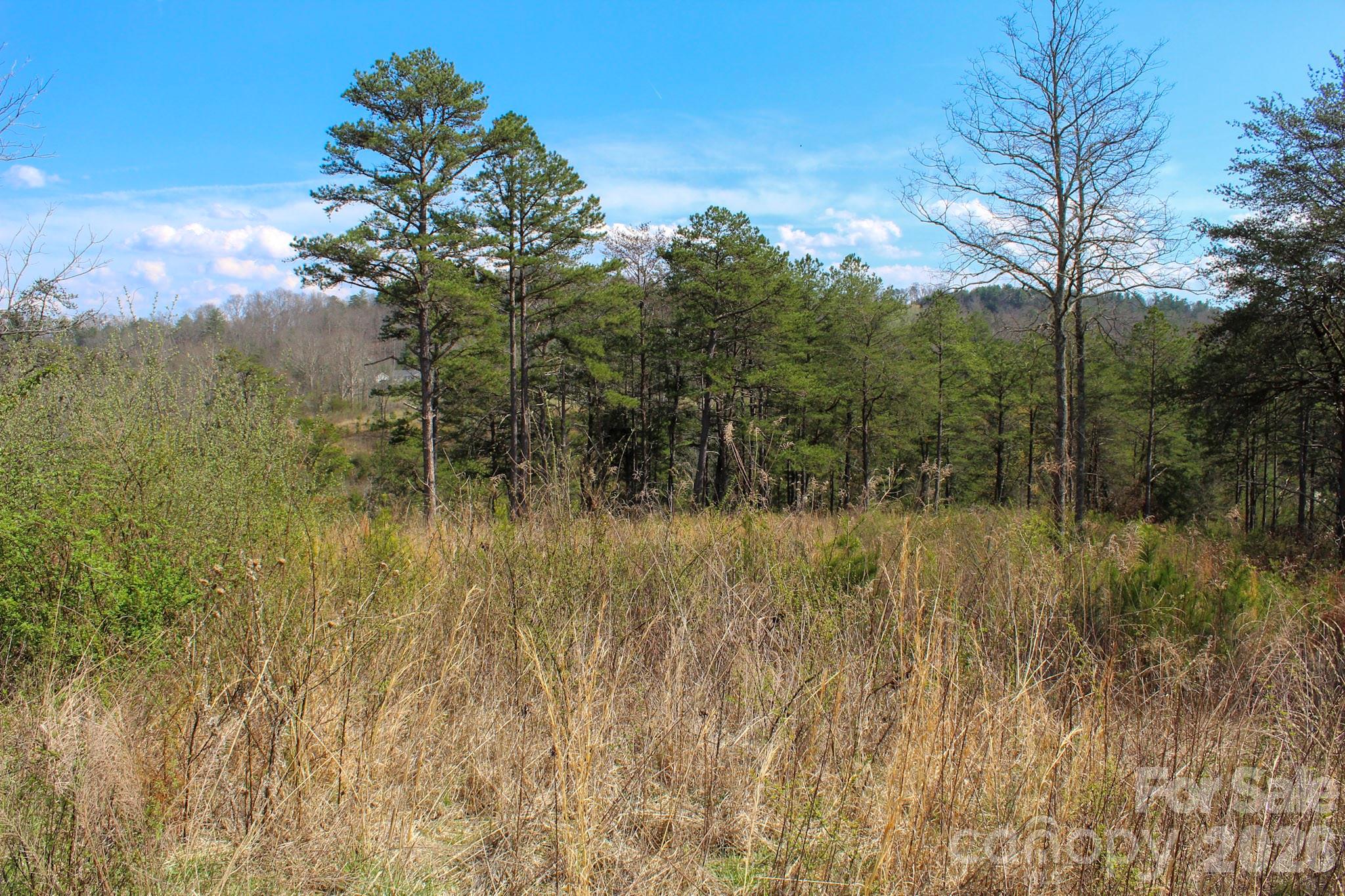 99999 Fletcher Martin Road Alexander NC 28701