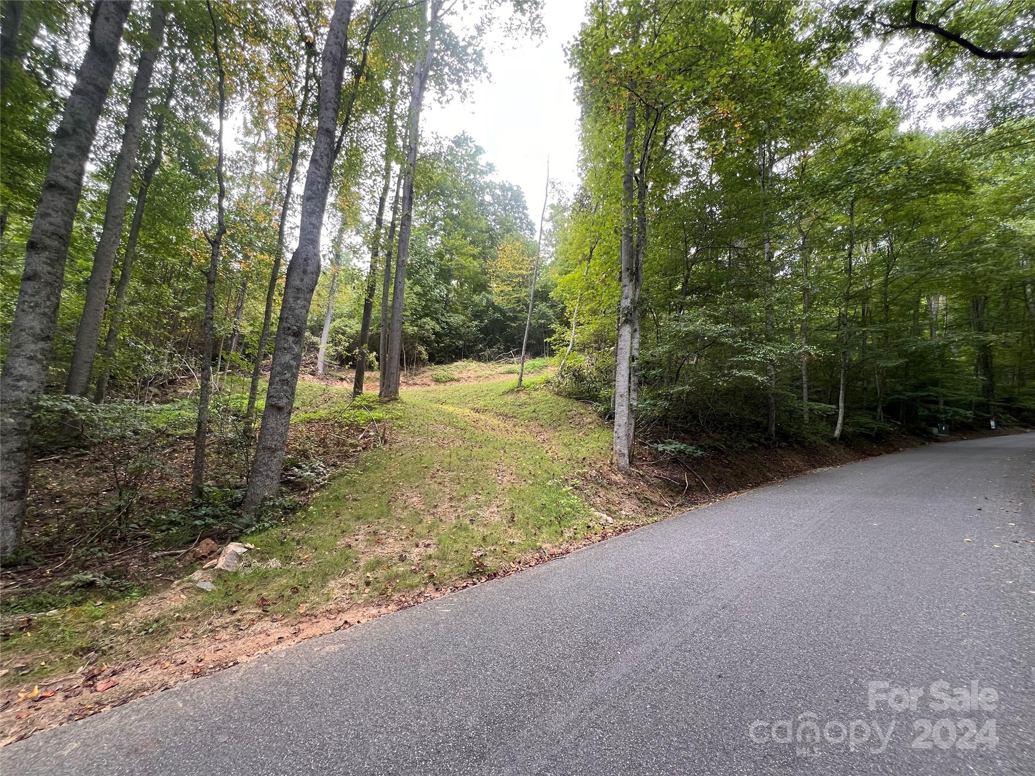 0 Country Club Drive Canton NC 28716