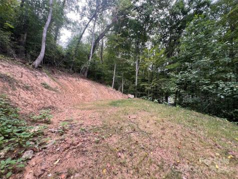 0 Country Club Drive Canton NC 28716