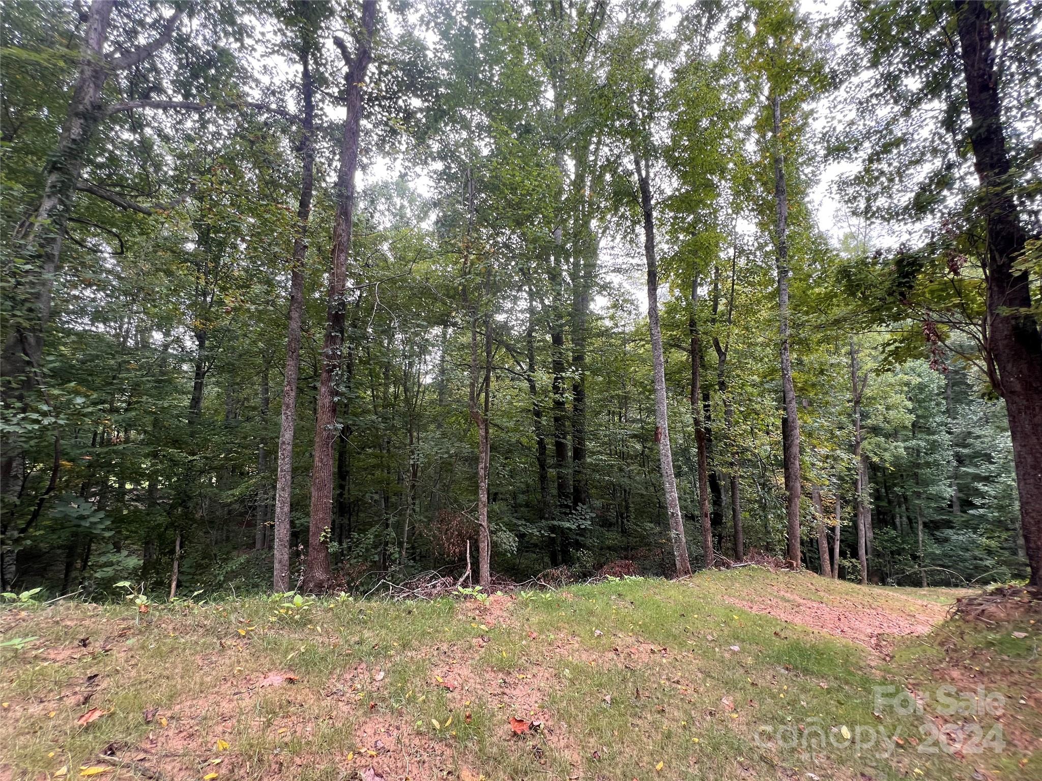 0 Country Club Drive Canton NC 28716