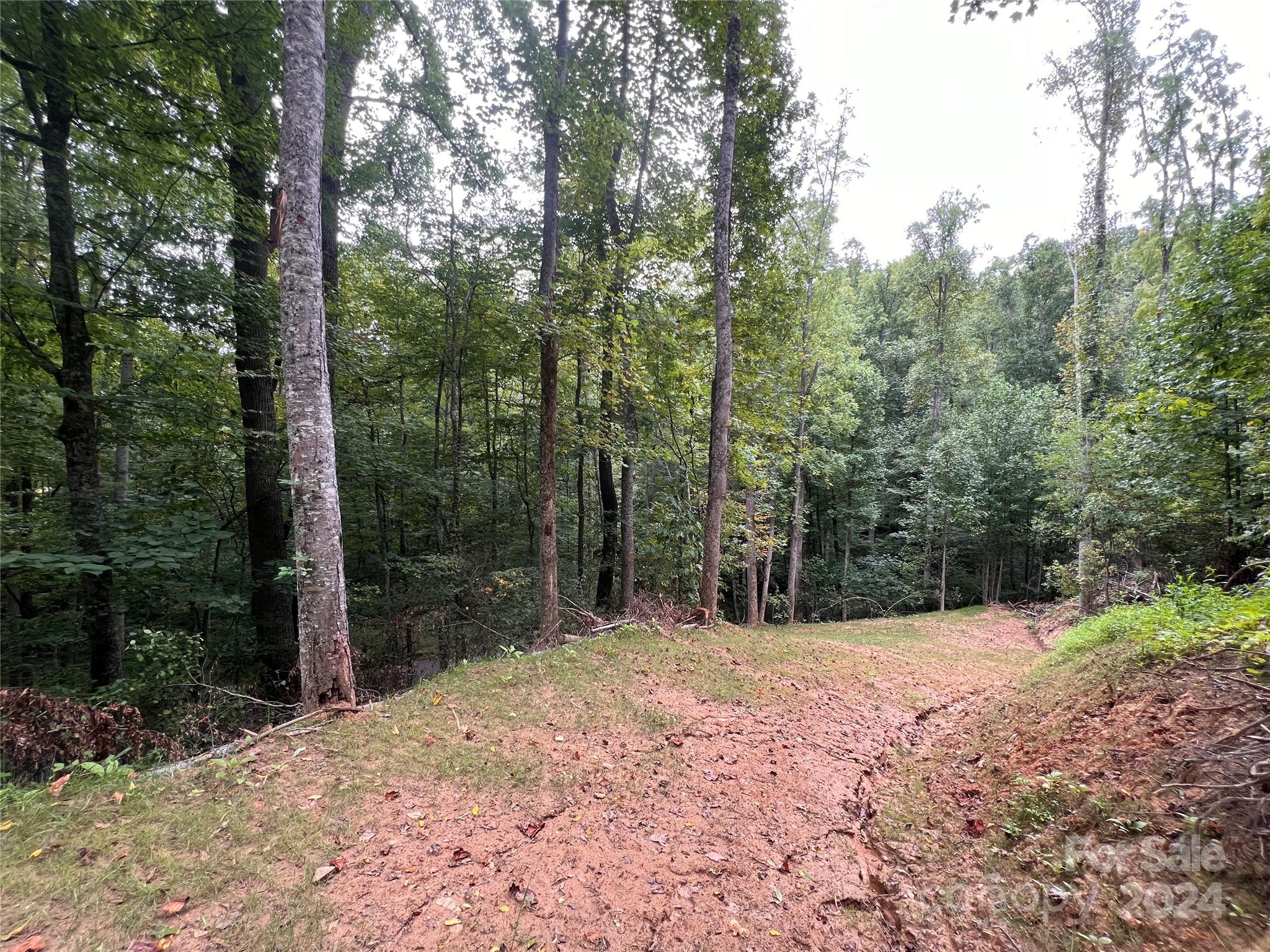 0 Country Club Drive Canton NC 28716