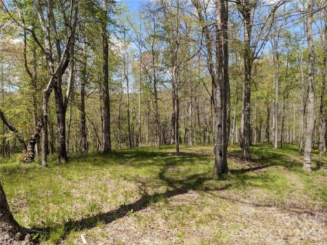 27 Woodtrail Way Arden NC 28704