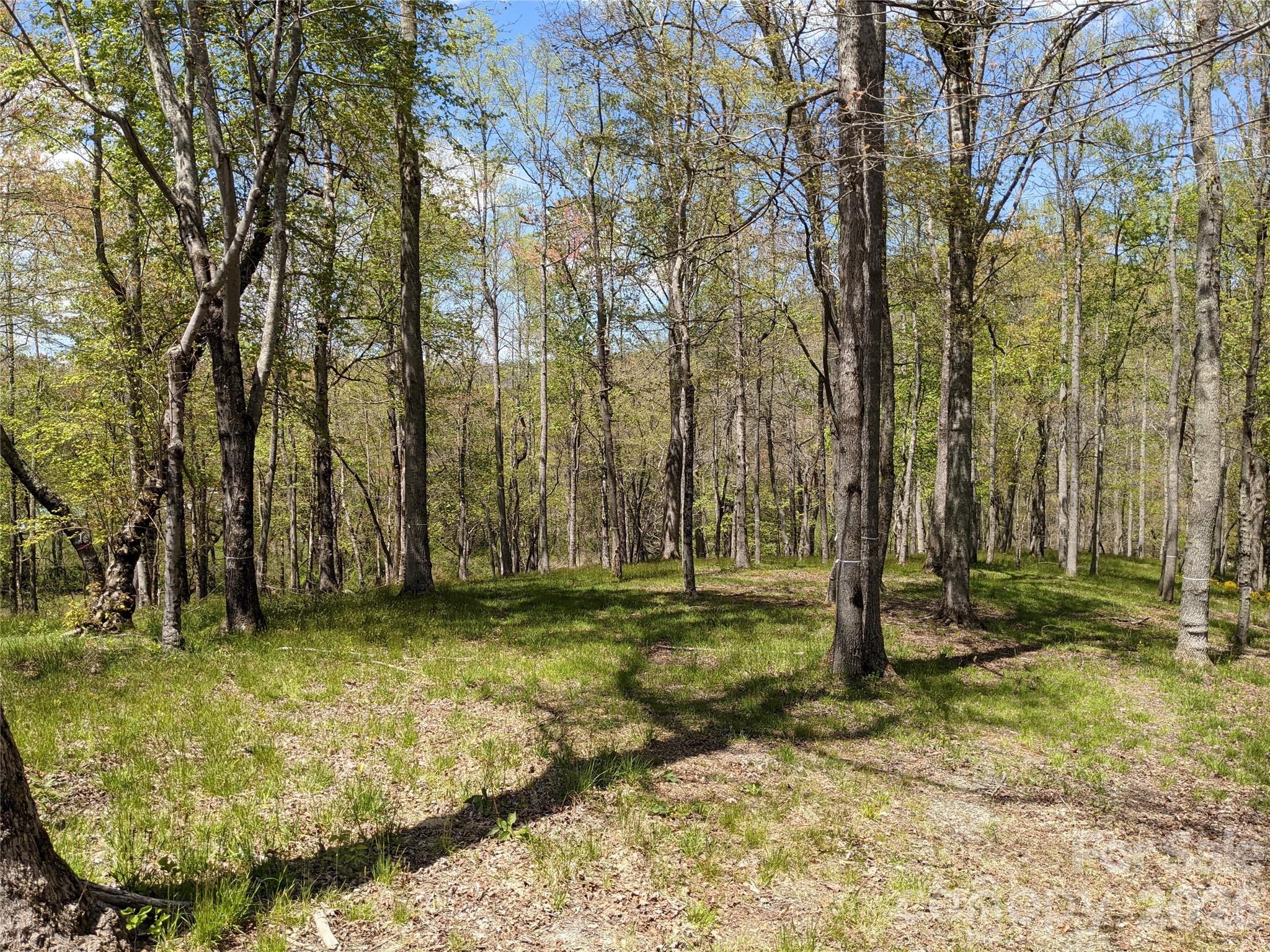 27 Woodtrail Way Arden NC 28704