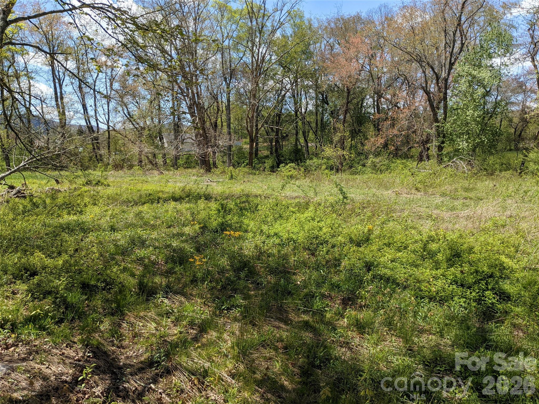 27 Woodtrail Way Arden NC 28704