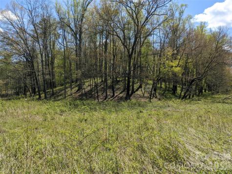 27 Woodtrail Way Arden NC 28704