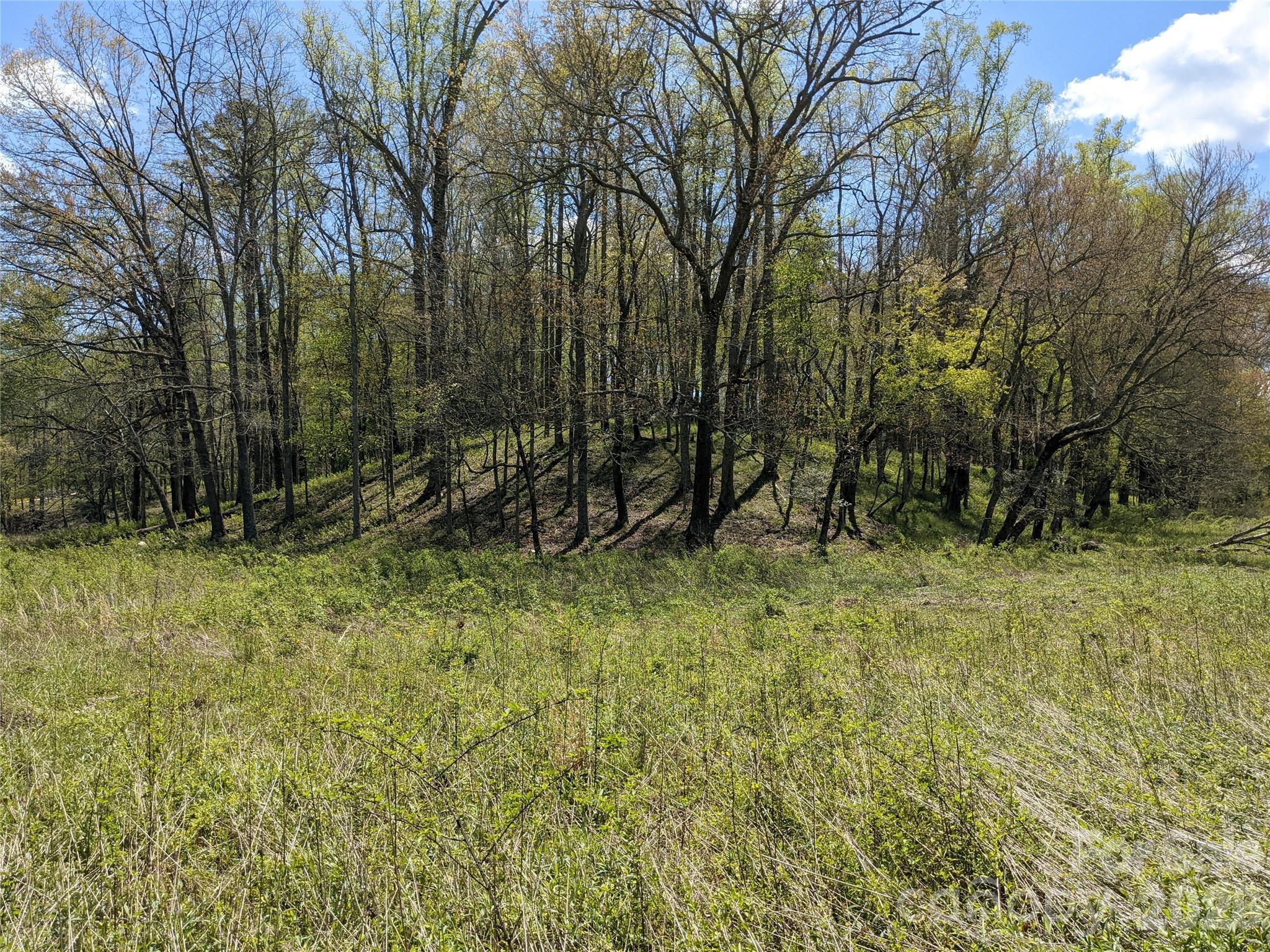 27 Woodtrail Way Arden NC 28704