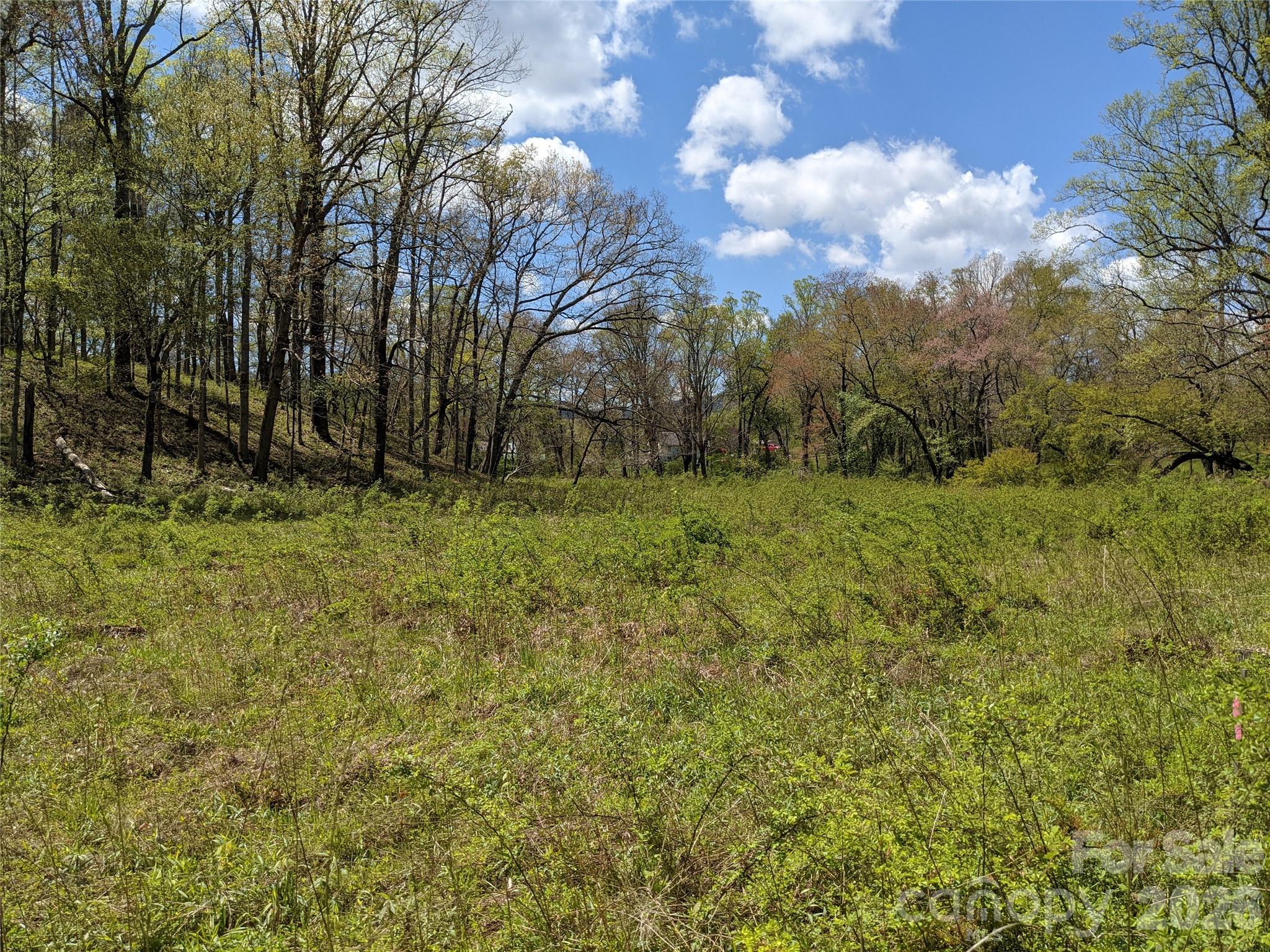27 Woodtrail Way Arden NC 28704