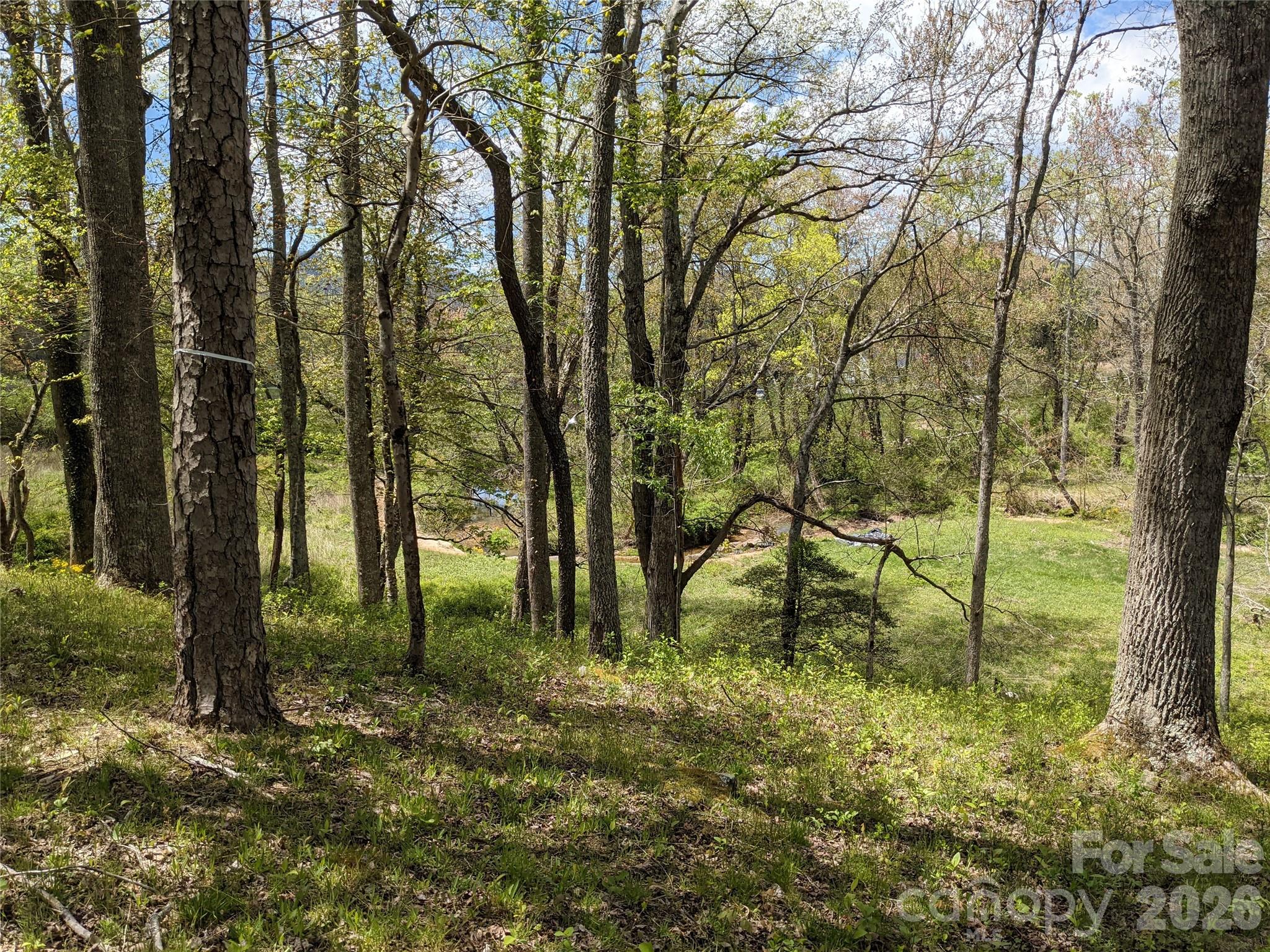 27 Woodtrail Way Arden NC 28704