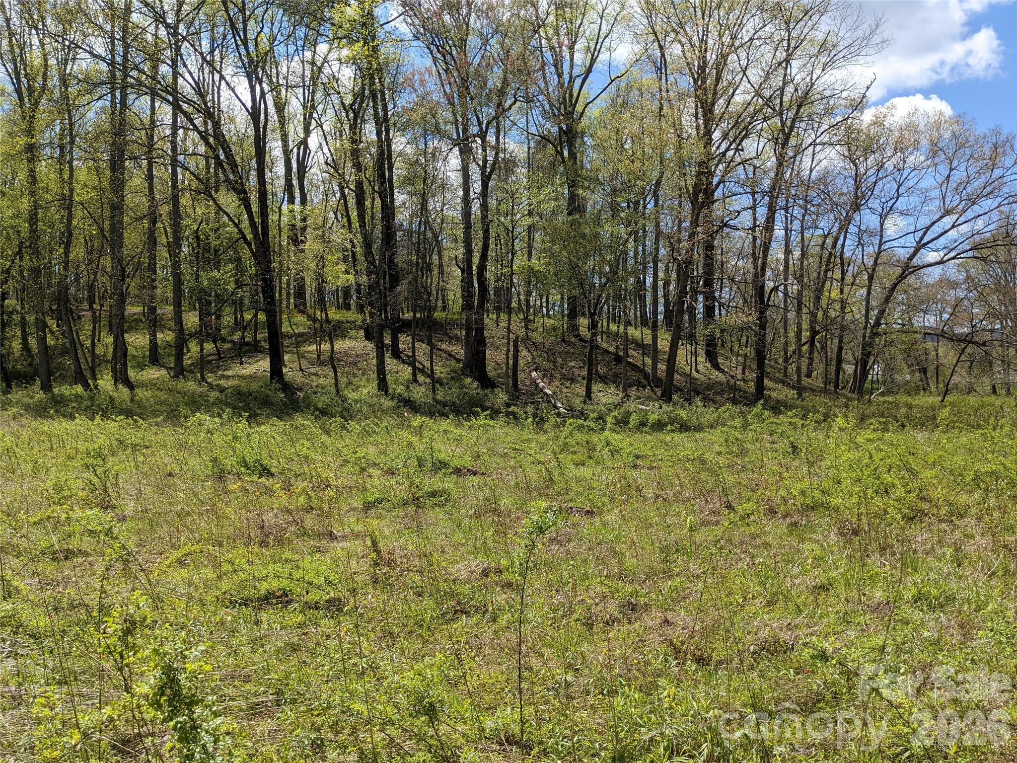 27 Woodtrail Way Arden NC 28704