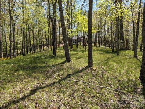 27 Woodtrail Way Arden NC 28704
