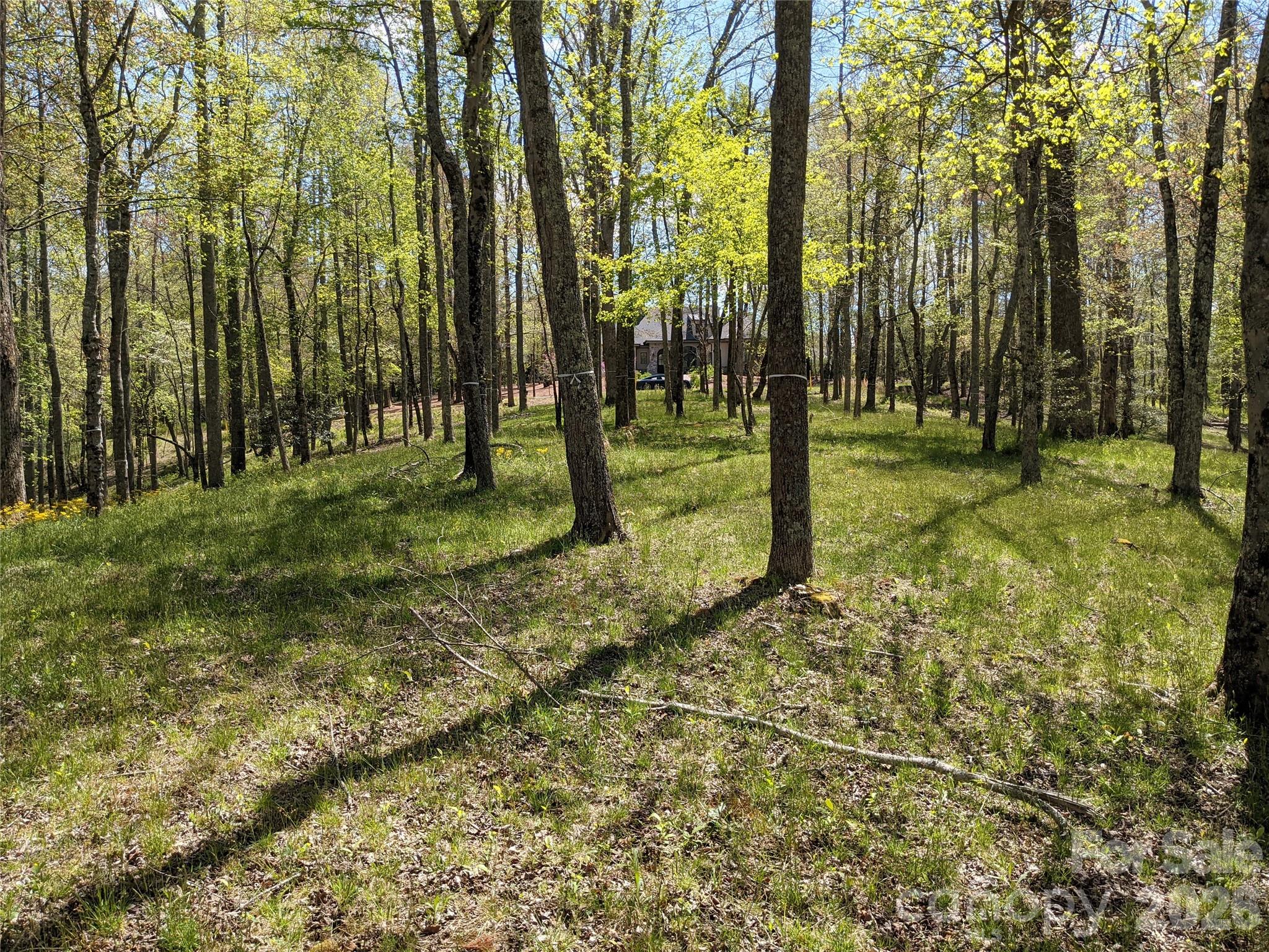 27 Woodtrail Way Arden NC 28704