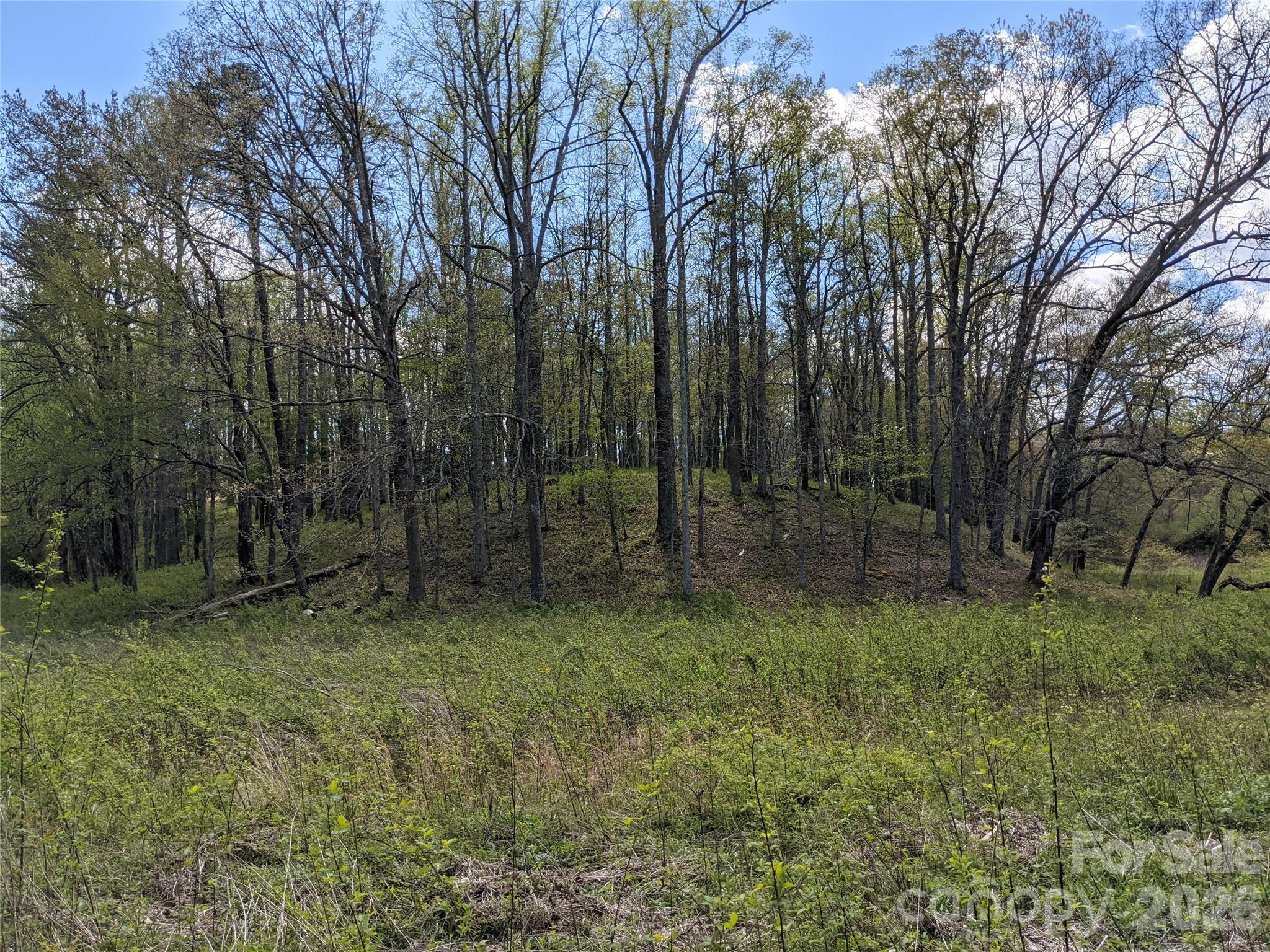 27 Woodtrail Way Arden NC 28704