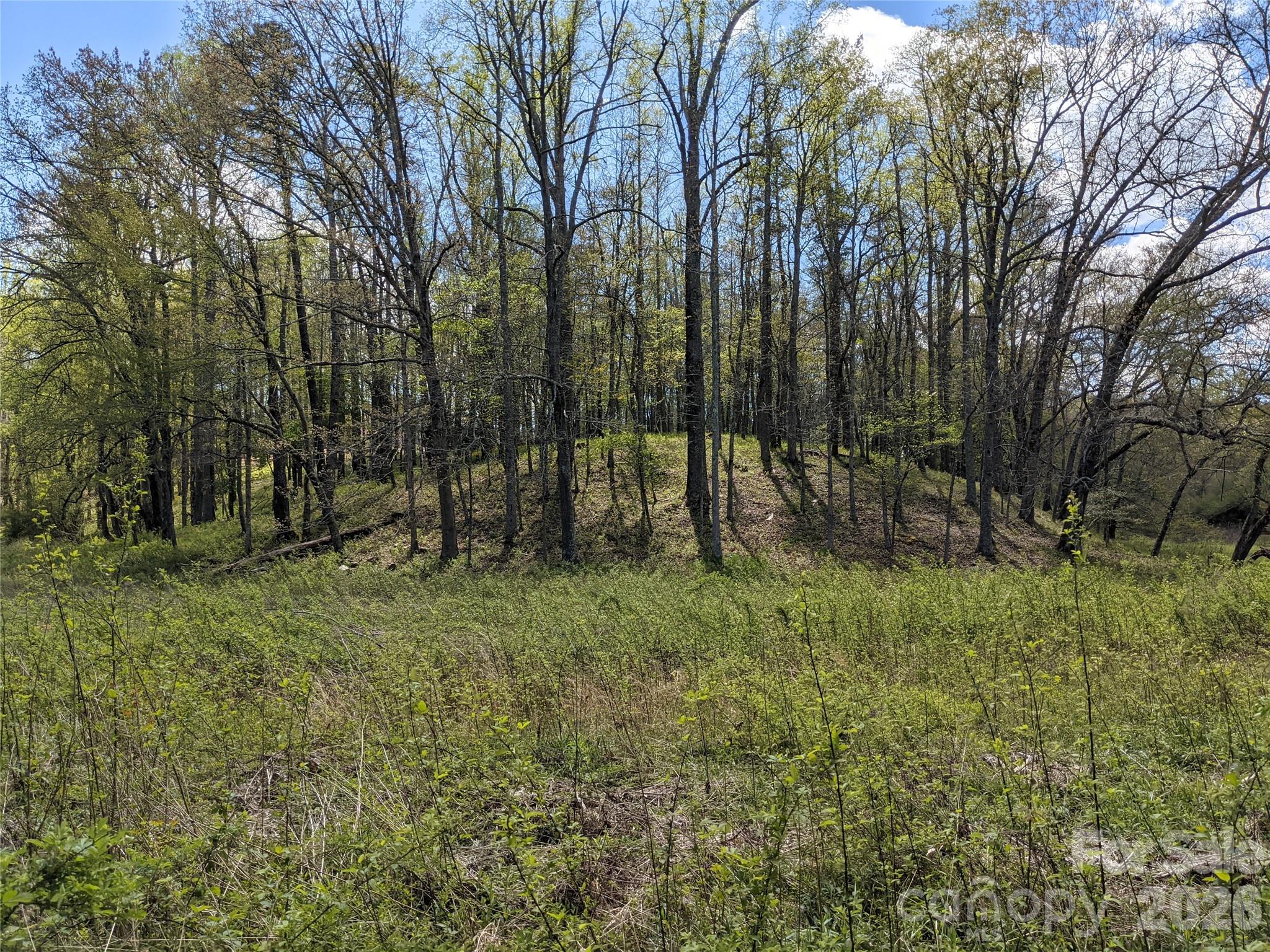 27 Woodtrail Way Arden NC 28704