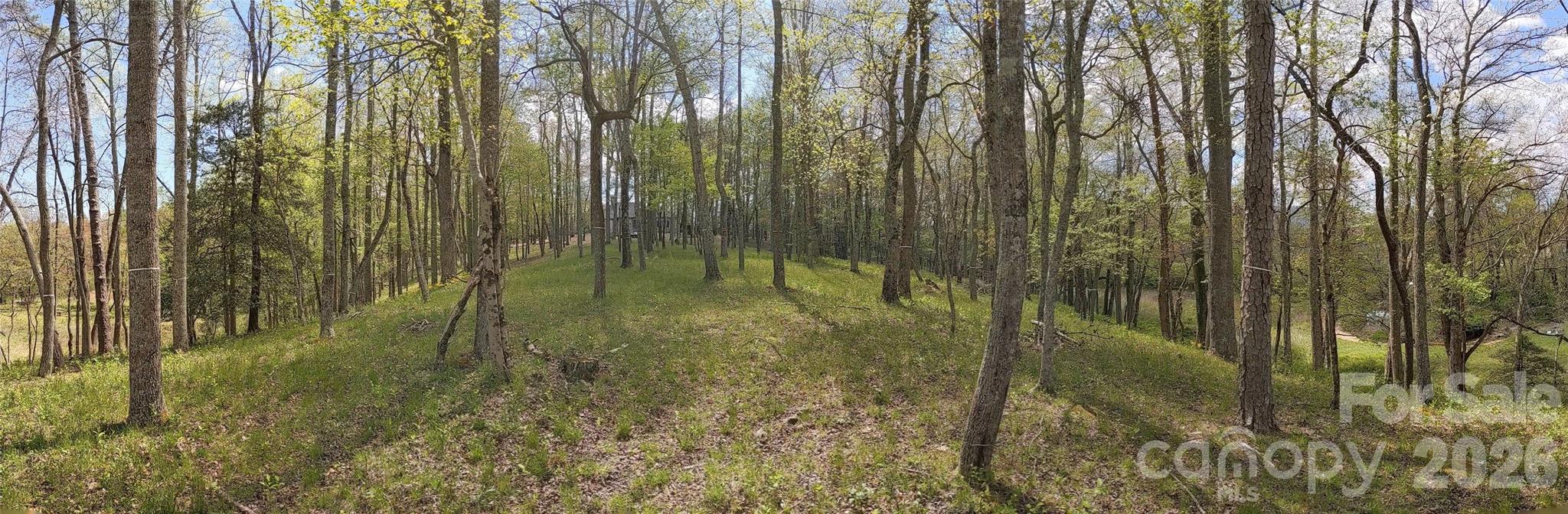 27 Woodtrail Way Arden NC 28704