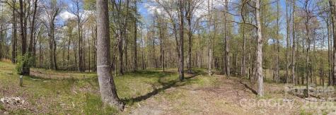 27 Woodtrail Way Arden NC 28704