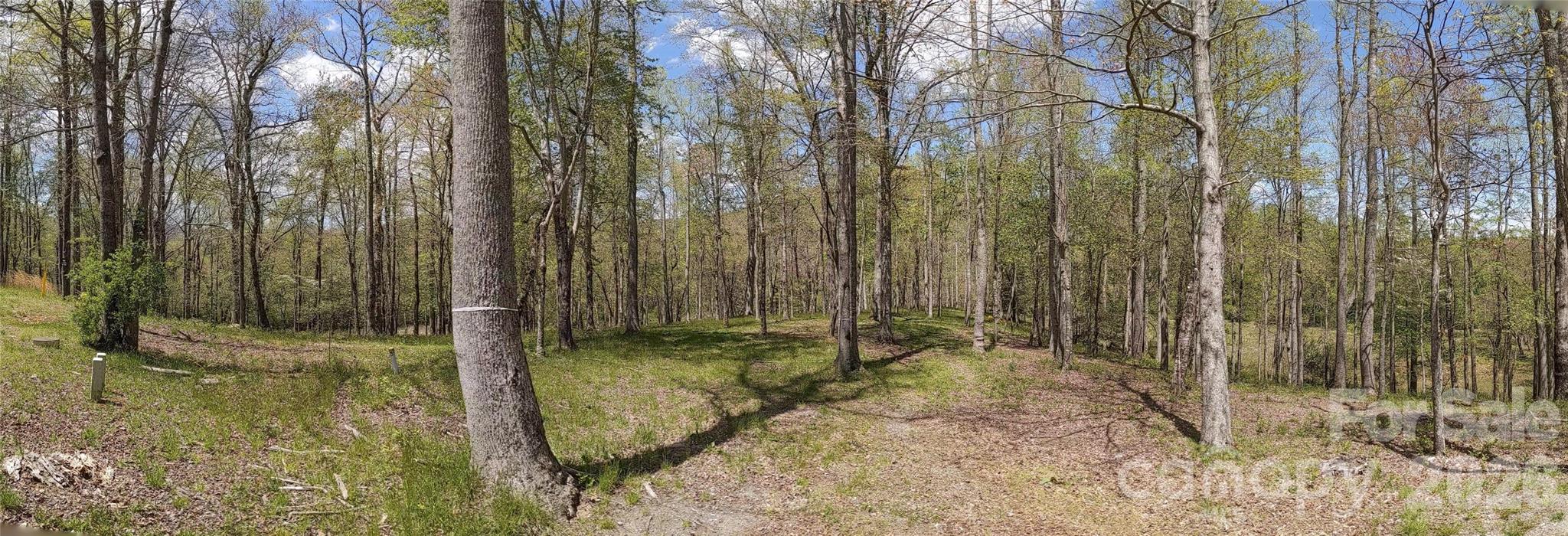 27 Woodtrail Way Arden NC 28704
