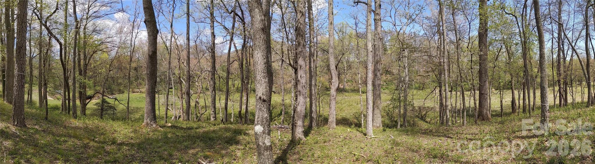 27 Woodtrail Way Arden NC 28704