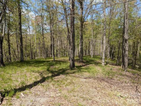 27 Woodtrail Way Arden NC 28704