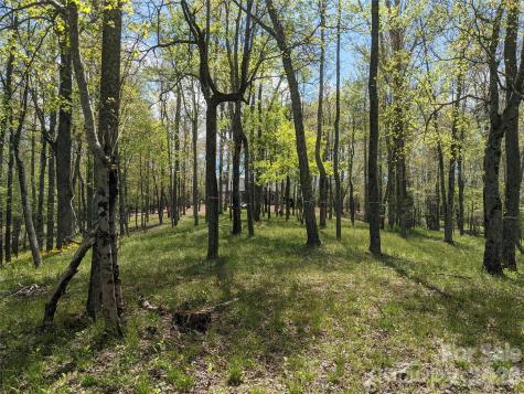 27 Woodtrail Way Arden NC 28704