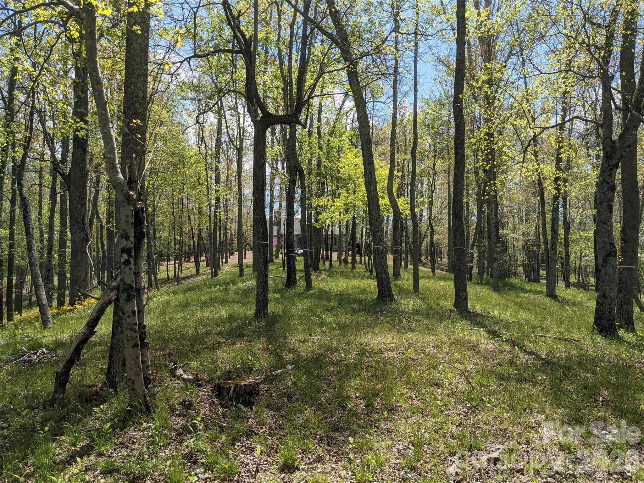 27 Woodtrail Way Arden NC 28704