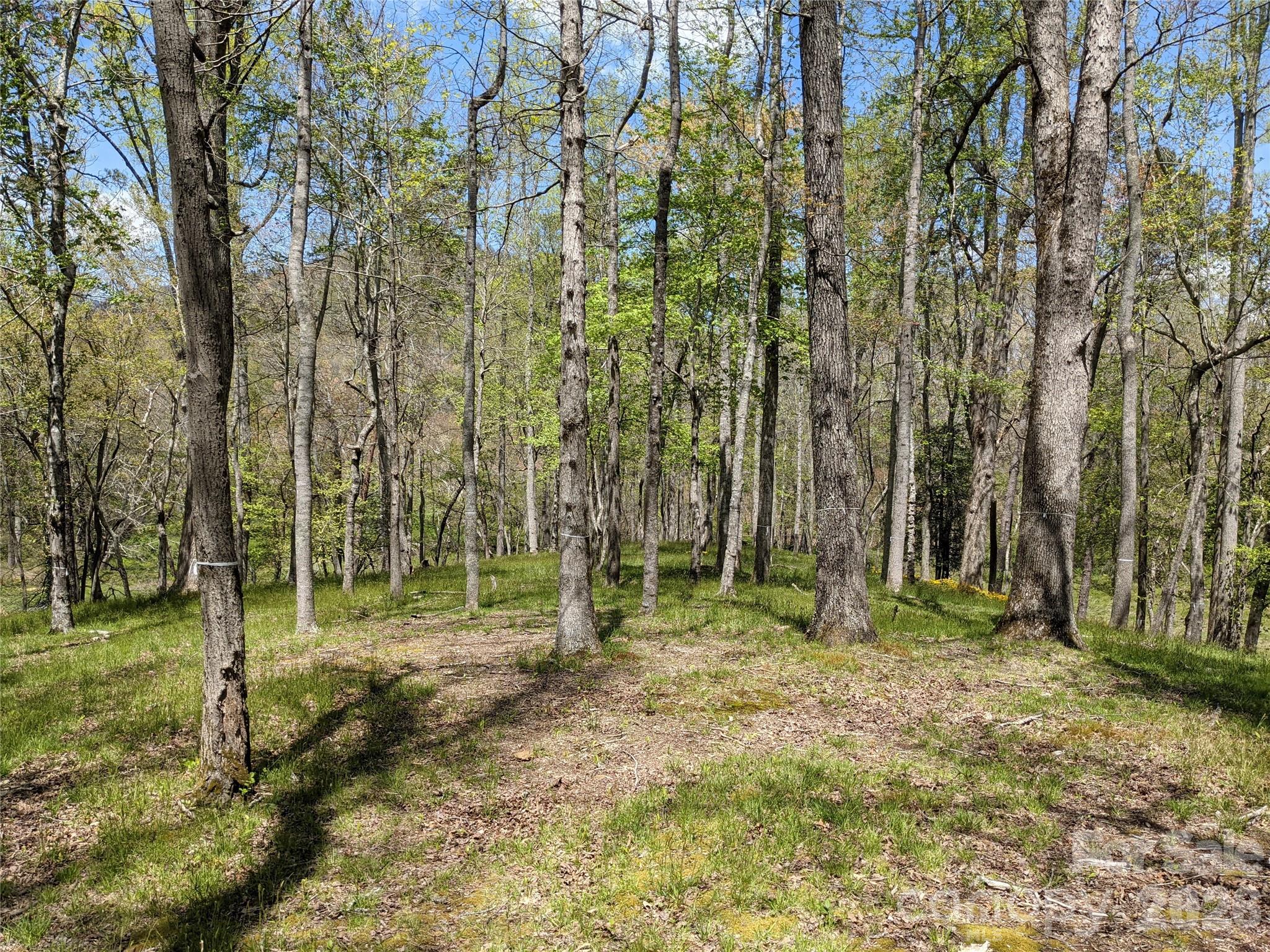 27 Woodtrail Way Arden NC 28704