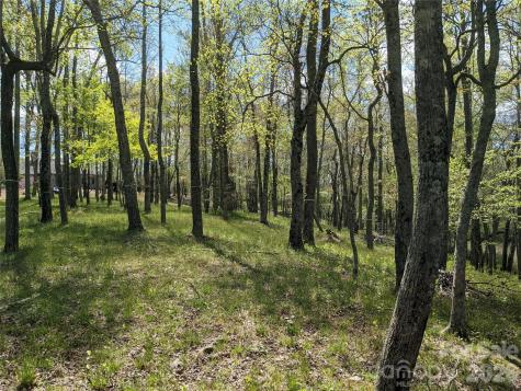27 Woodtrail Way Arden NC 28704