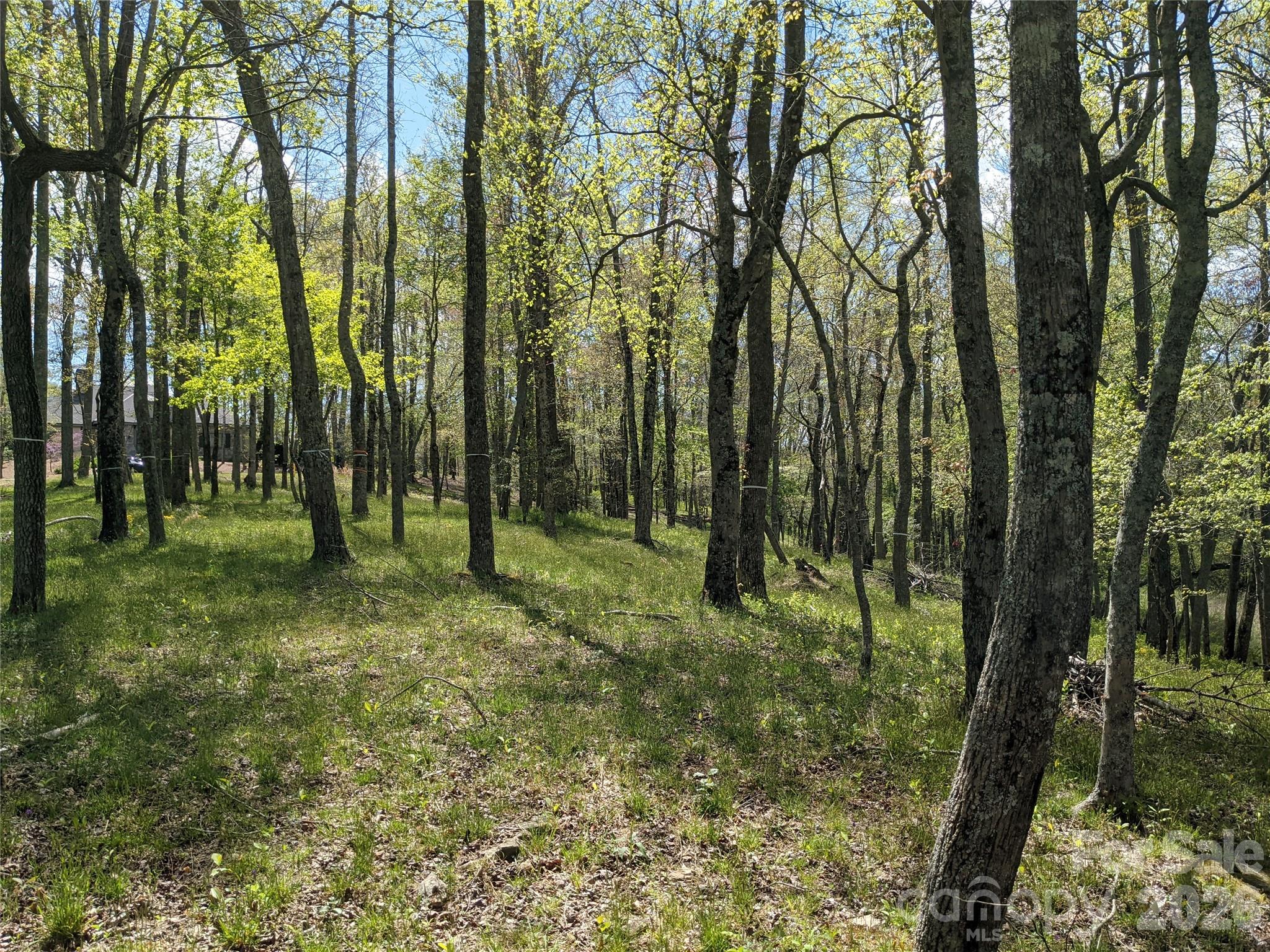 27 Woodtrail Way Arden NC 28704