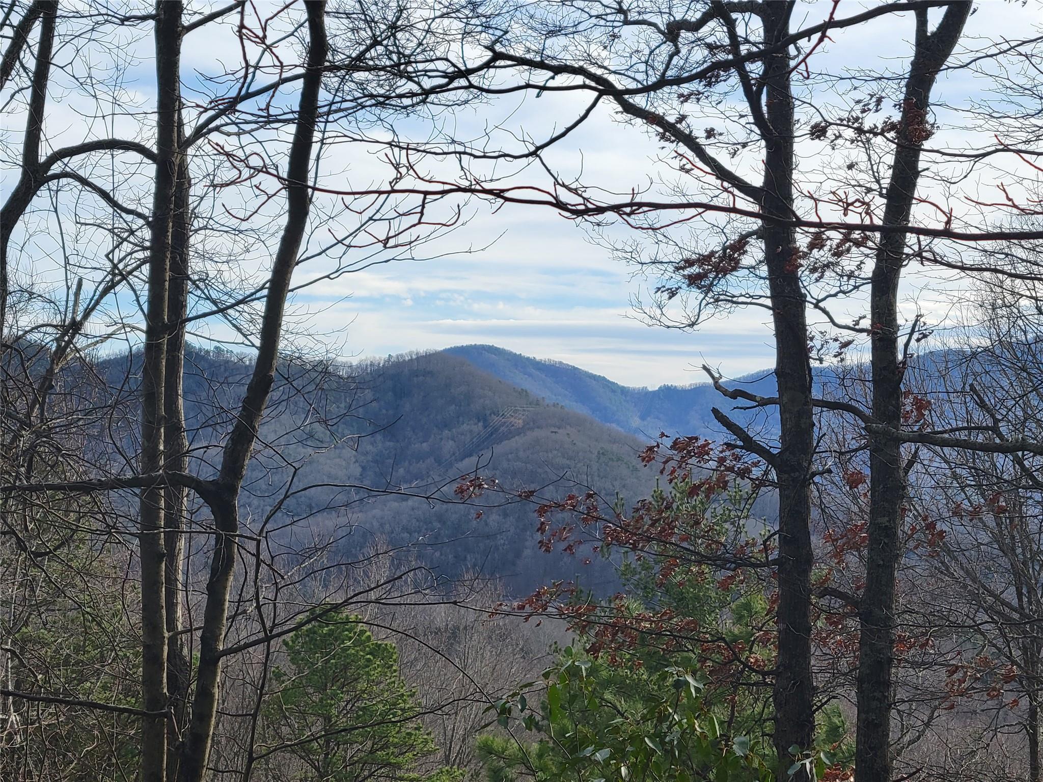 0000 Lookout Terrace Road Black Mountain NC 28711