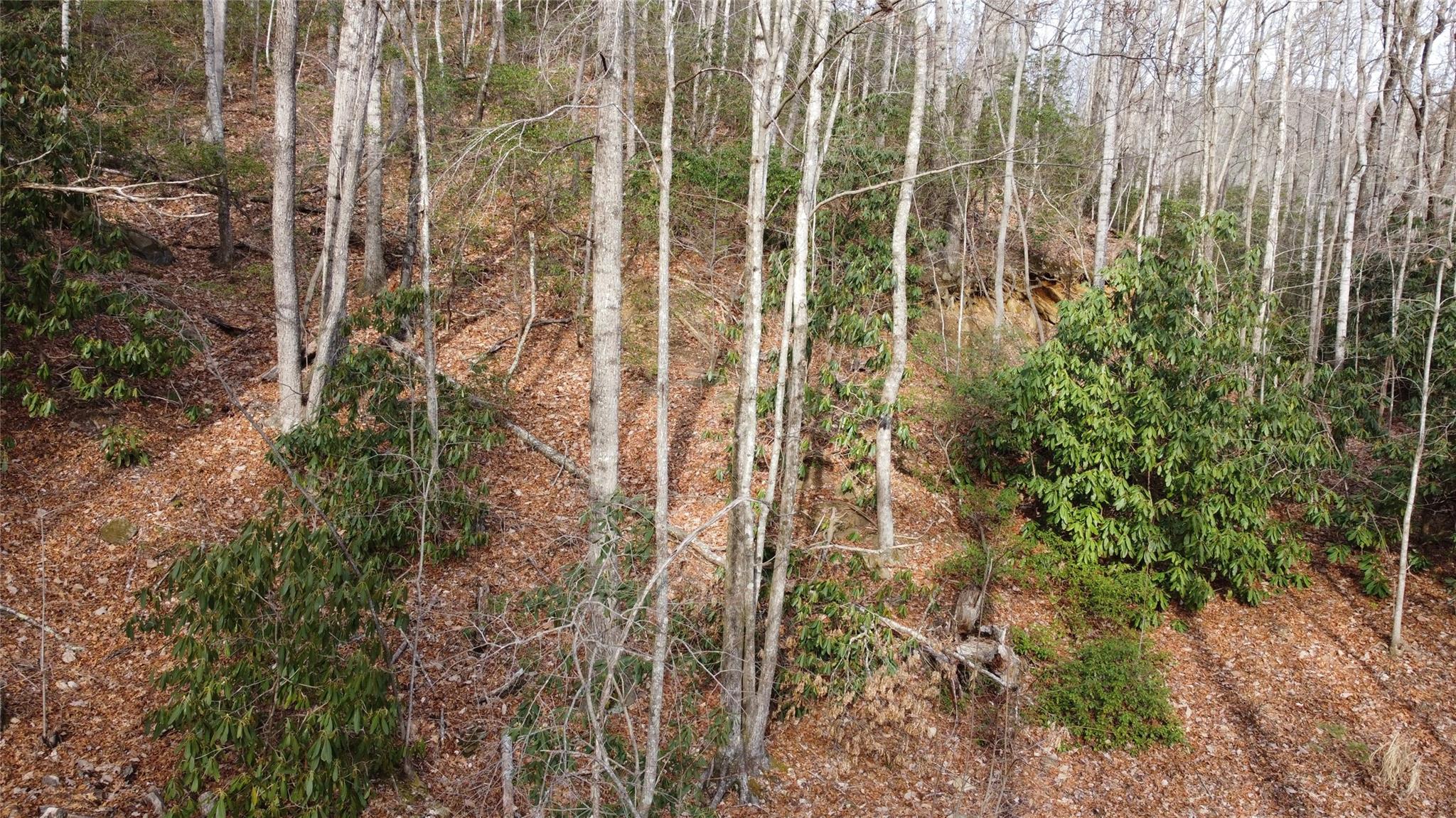 0000 Lookout Terrace Road Black Mountain NC 28711