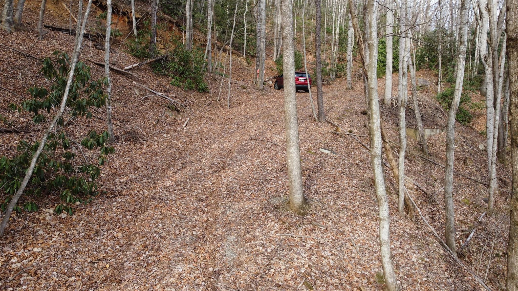 0000 Lookout Terrace Road Black Mountain NC 28711