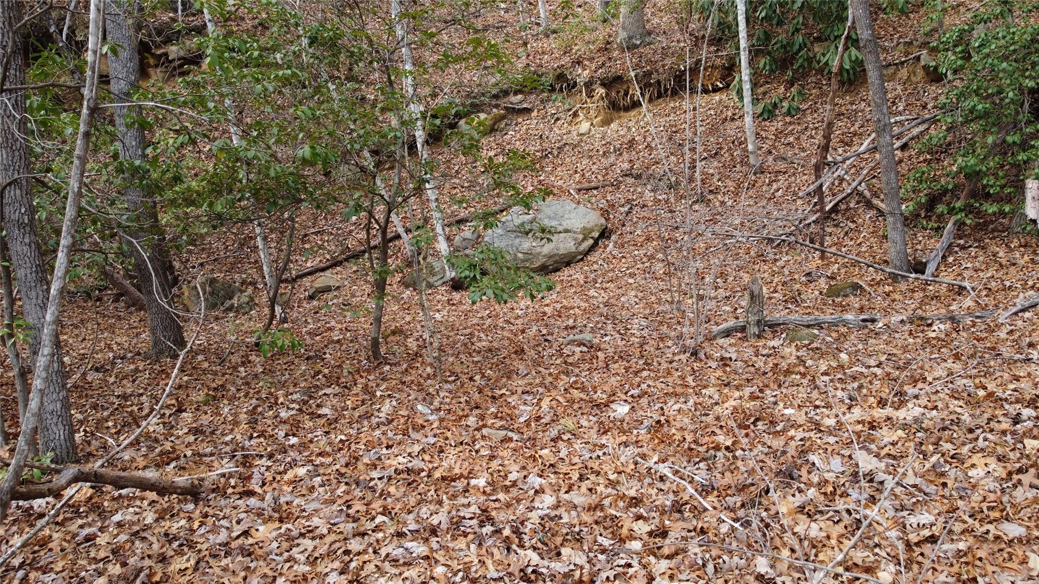 0000 Lookout Terrace Road Black Mountain NC 28711